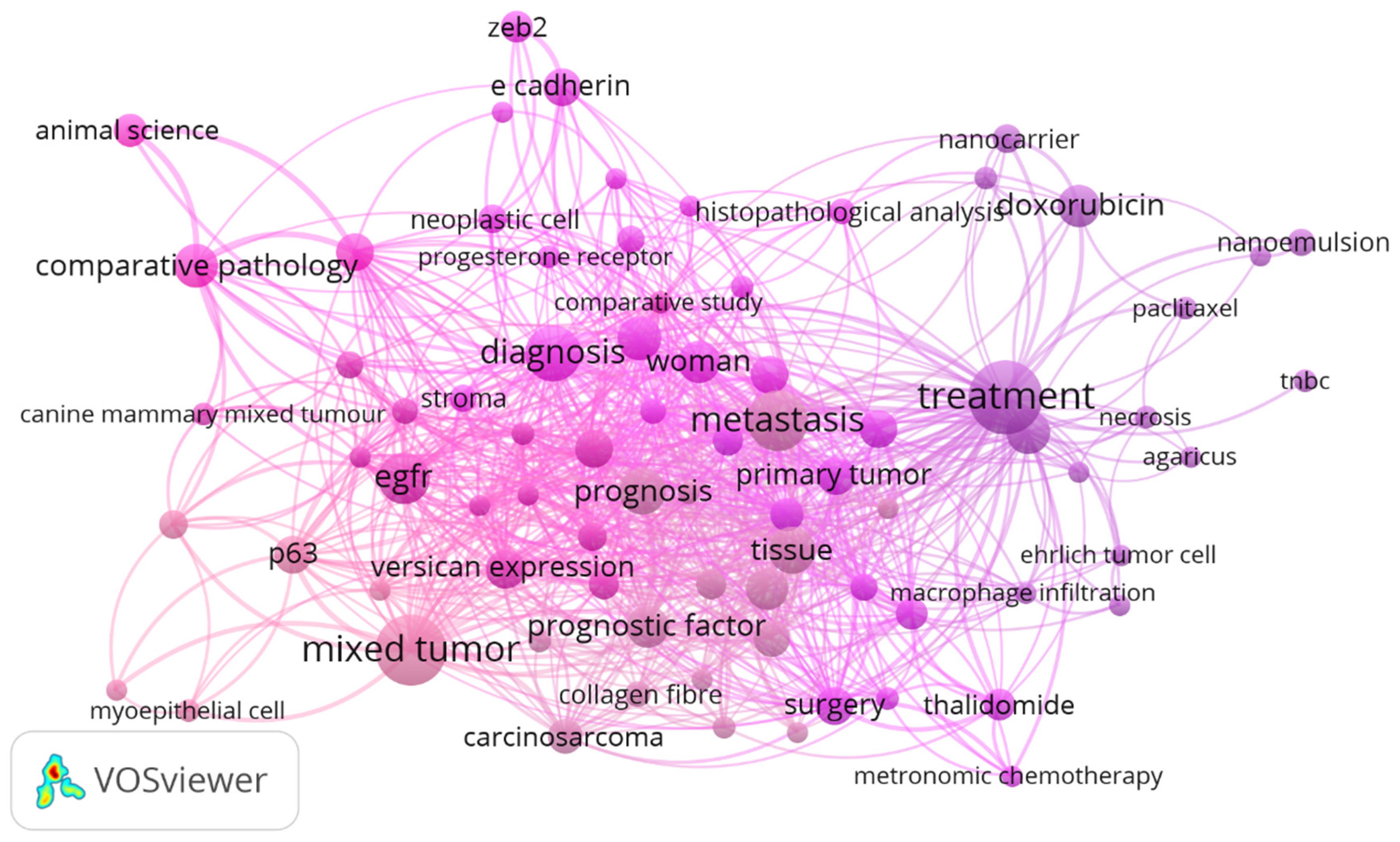 Vetsci 12 00189 g001