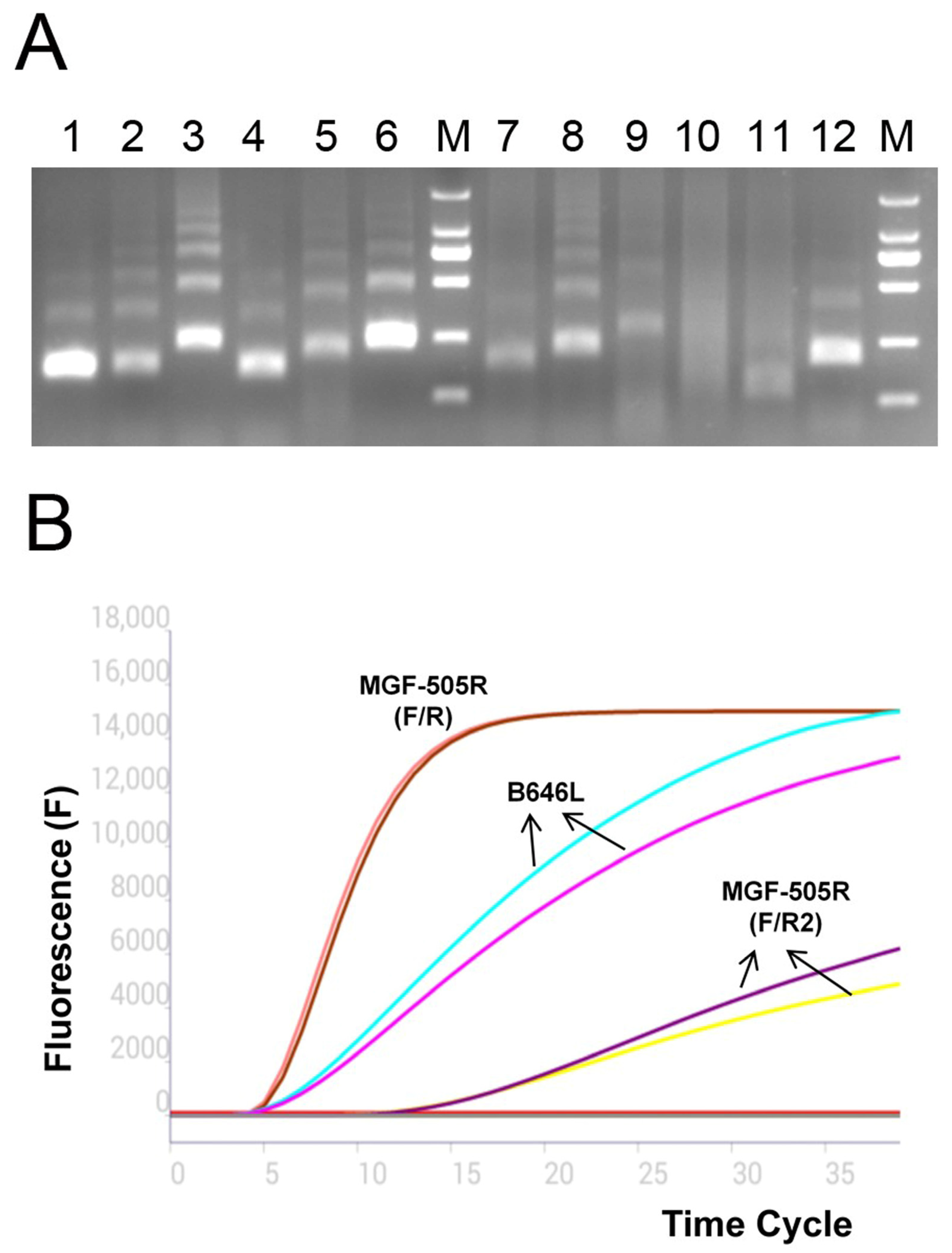 Vetsci 12 00193 g001
