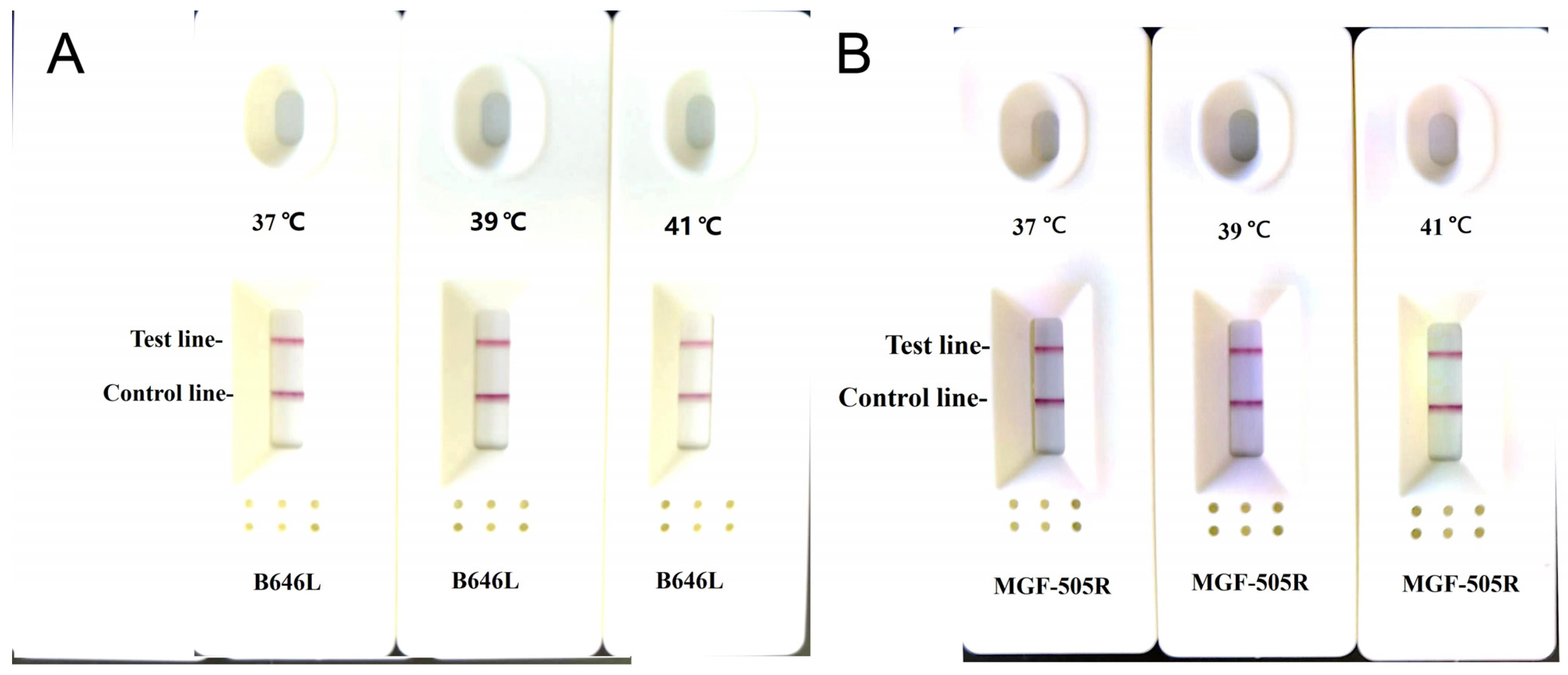 Vetsci 12 00193 g002