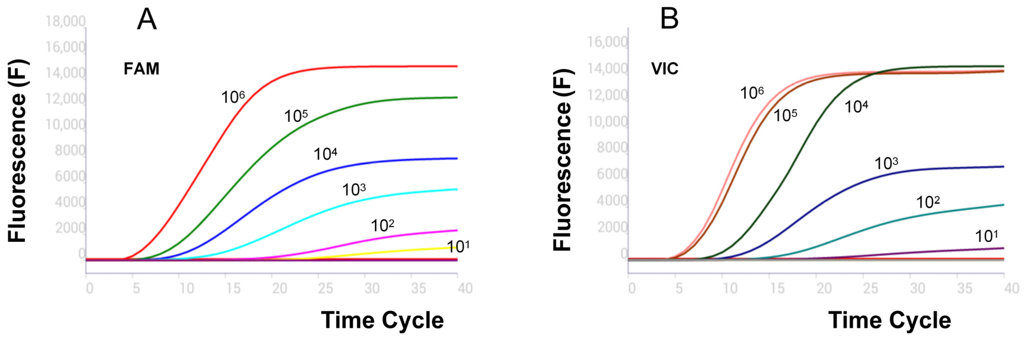 Vetsci 12 00193 g003