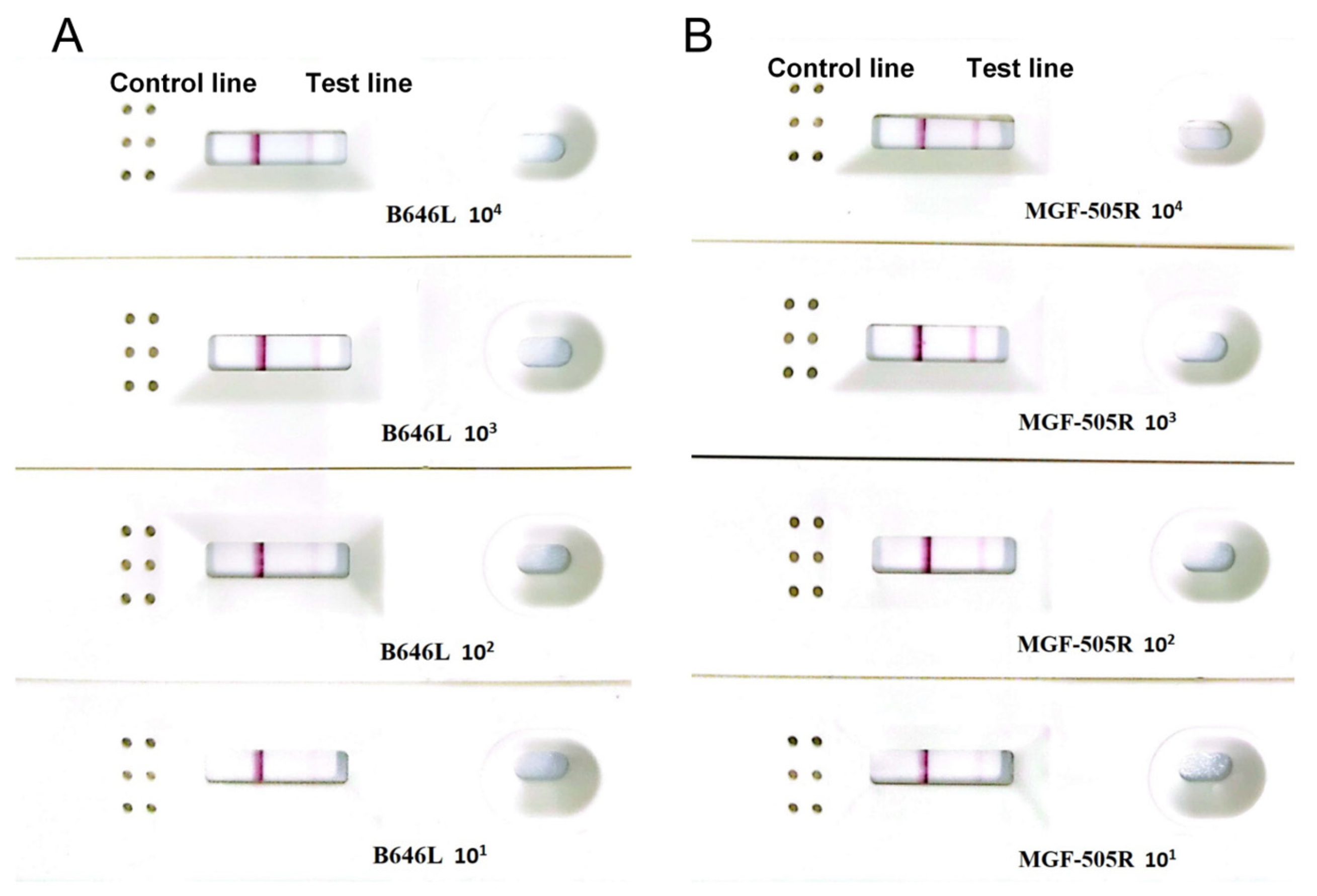 Vetsci 12 00193 g004