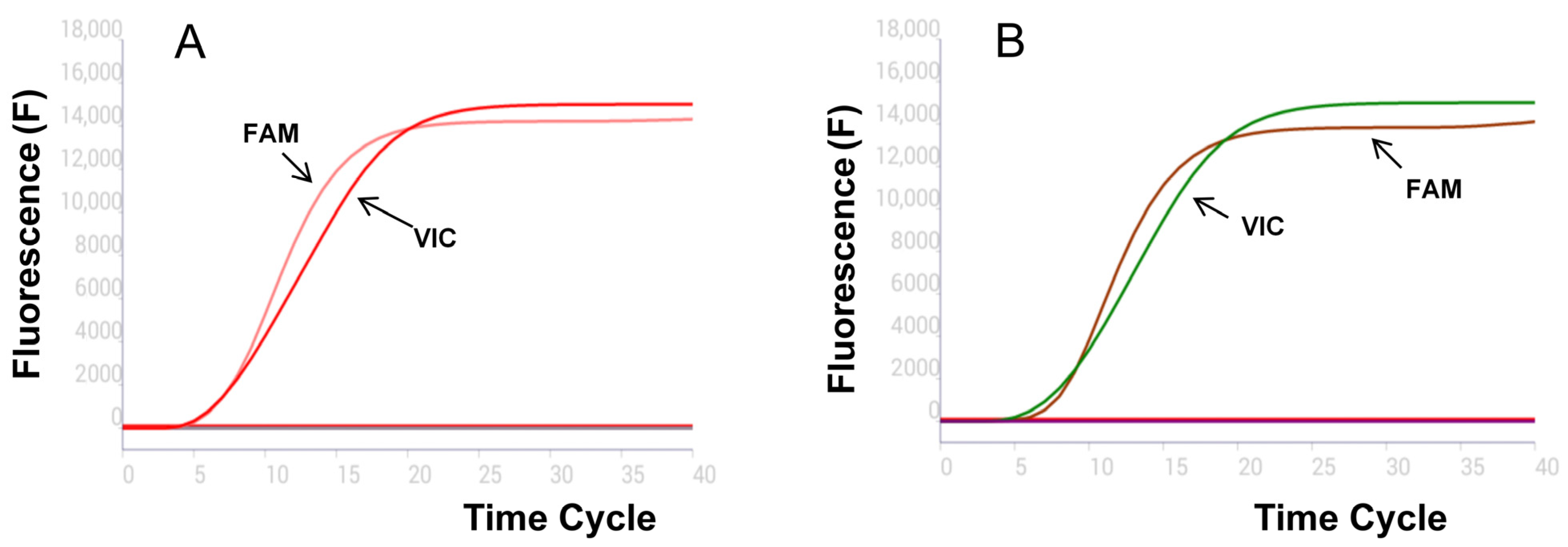 Vetsci 12 00193 g005