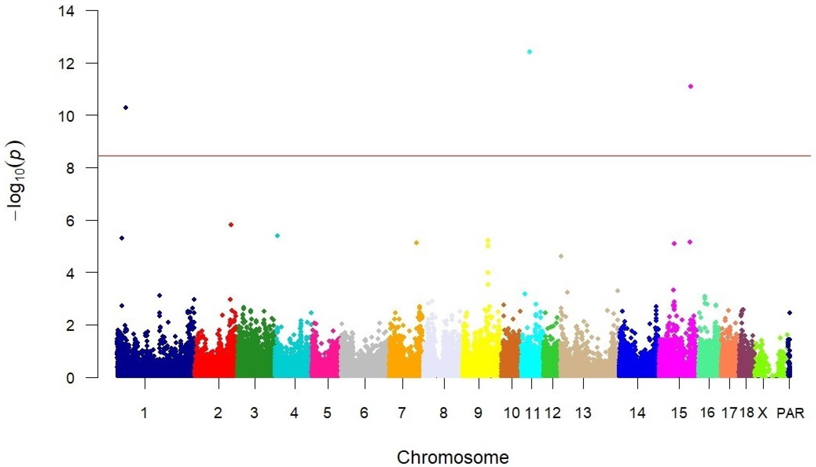 Vetsci 12 00198 g001 Vetsci 12 00198 g001