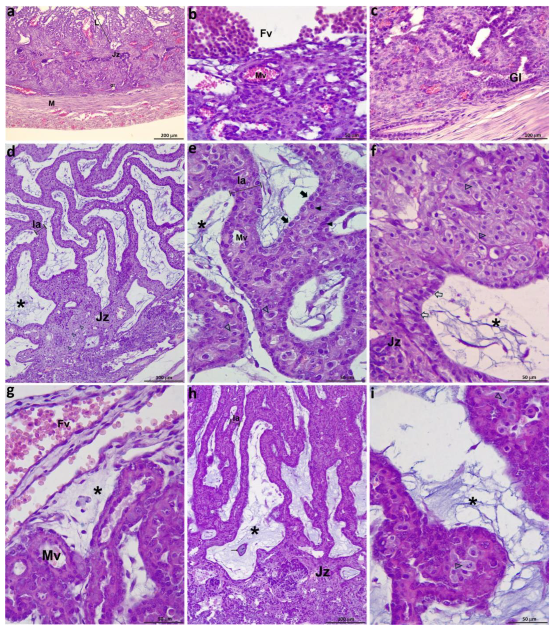 Vetsci 12 00207 g005