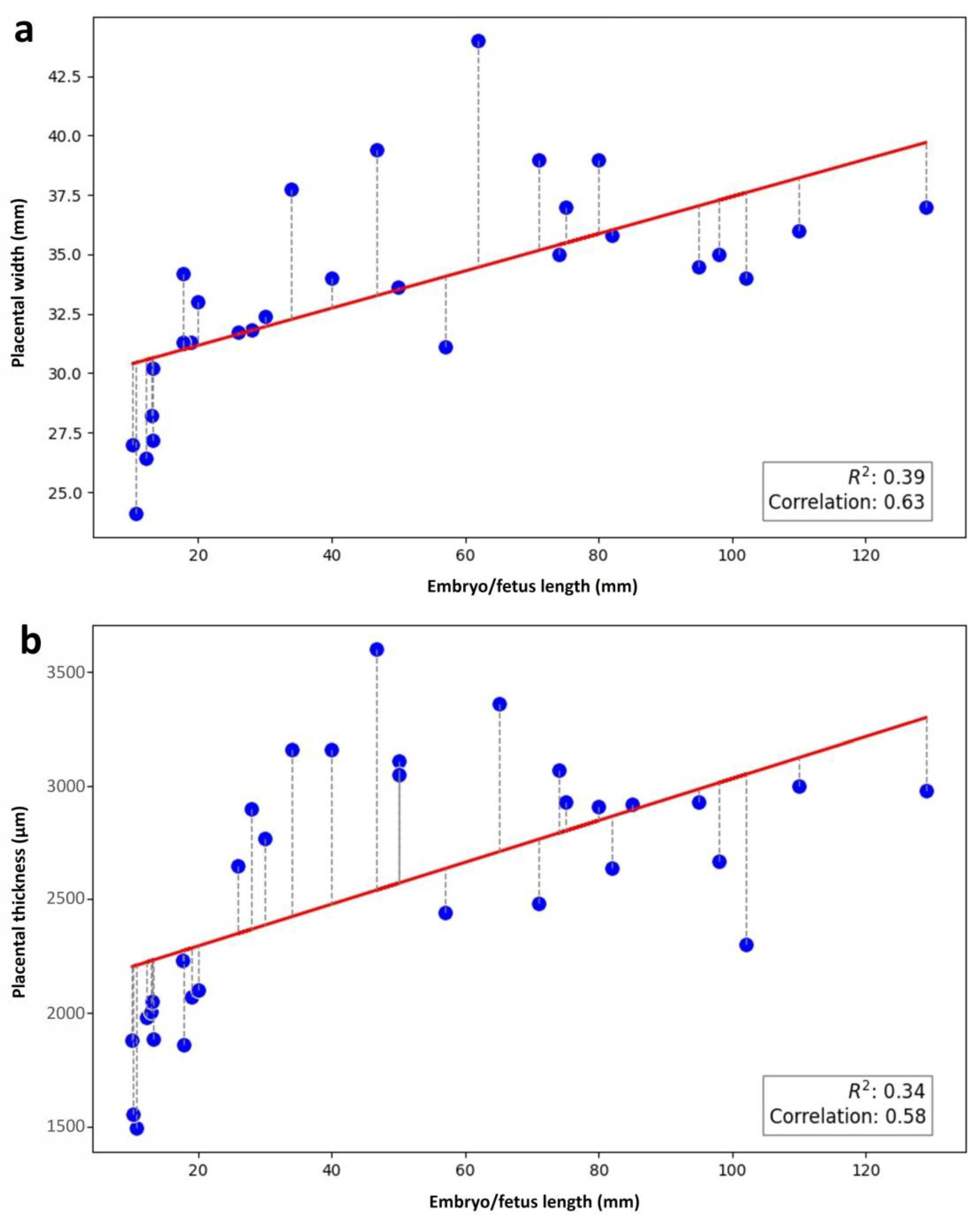 Vetsci 12 00207 g010