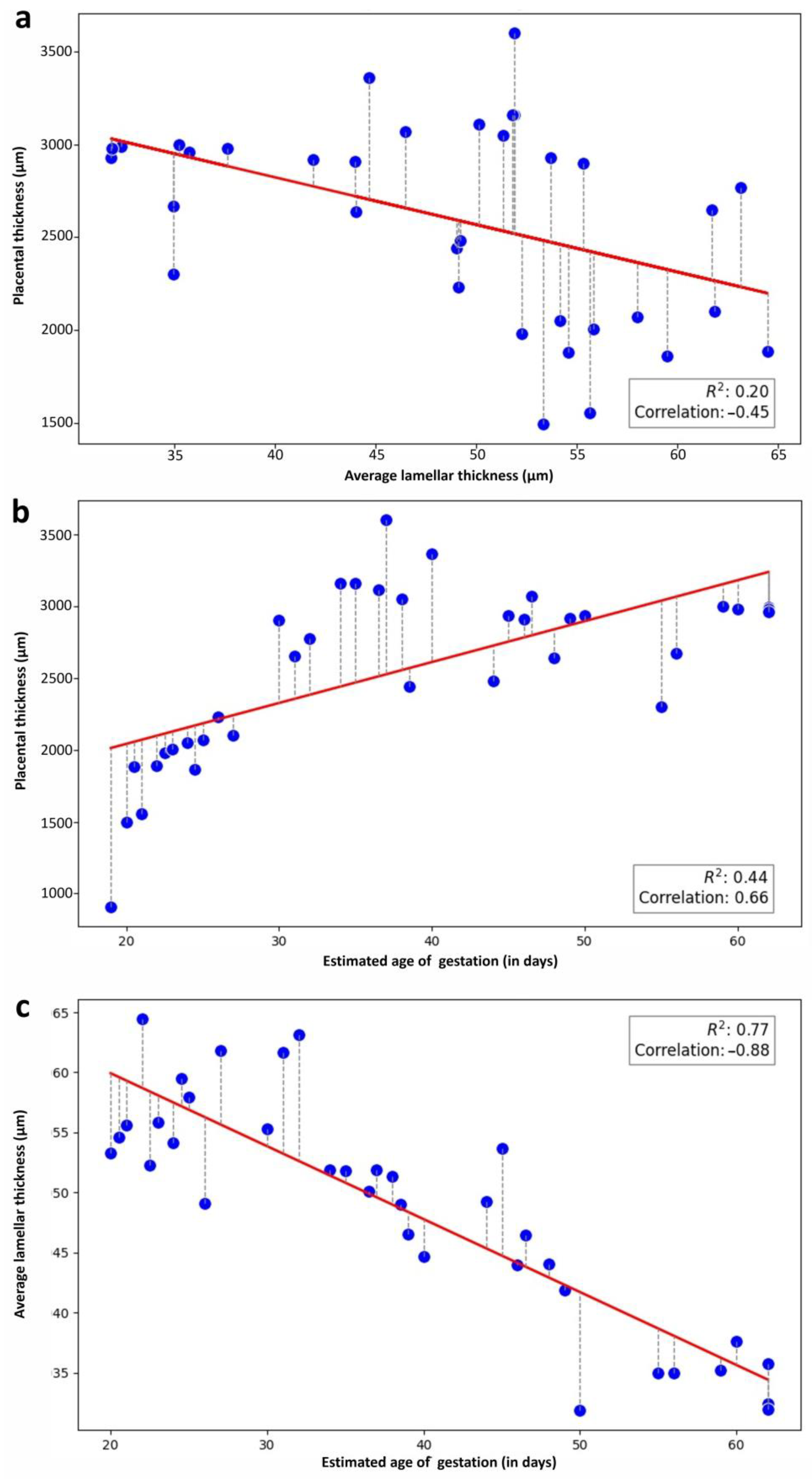 Vetsci 12 00207 g011