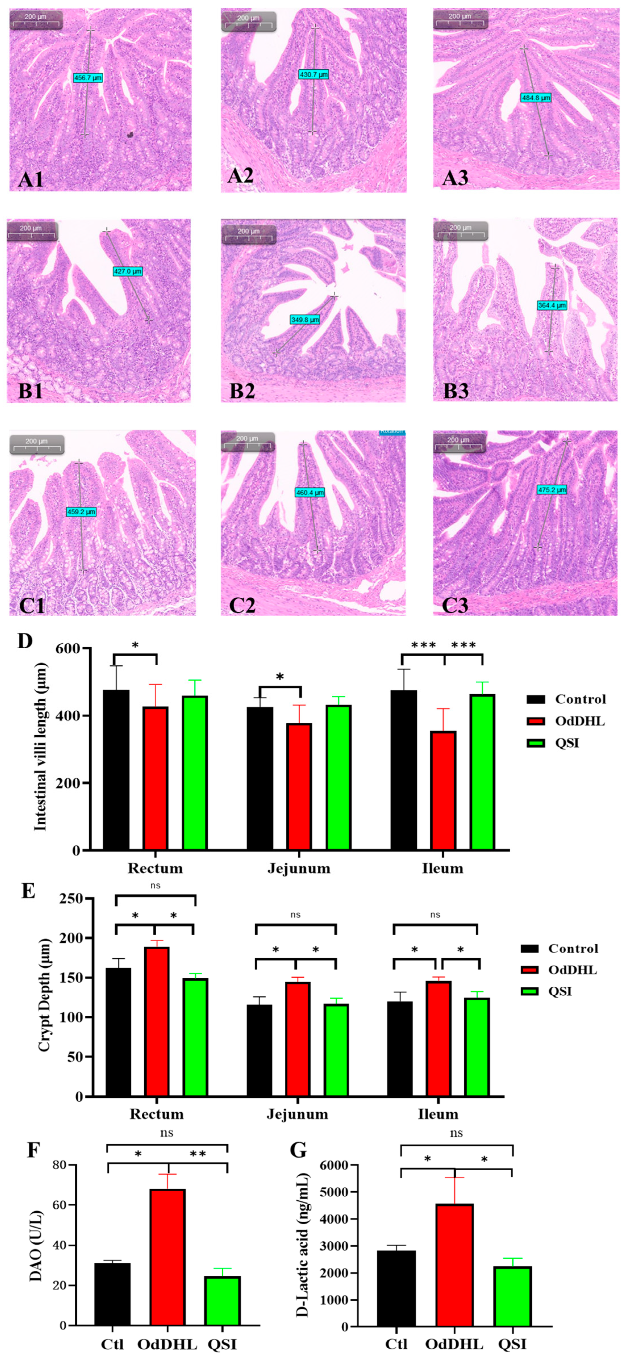 Vetsci 12 00233 g001