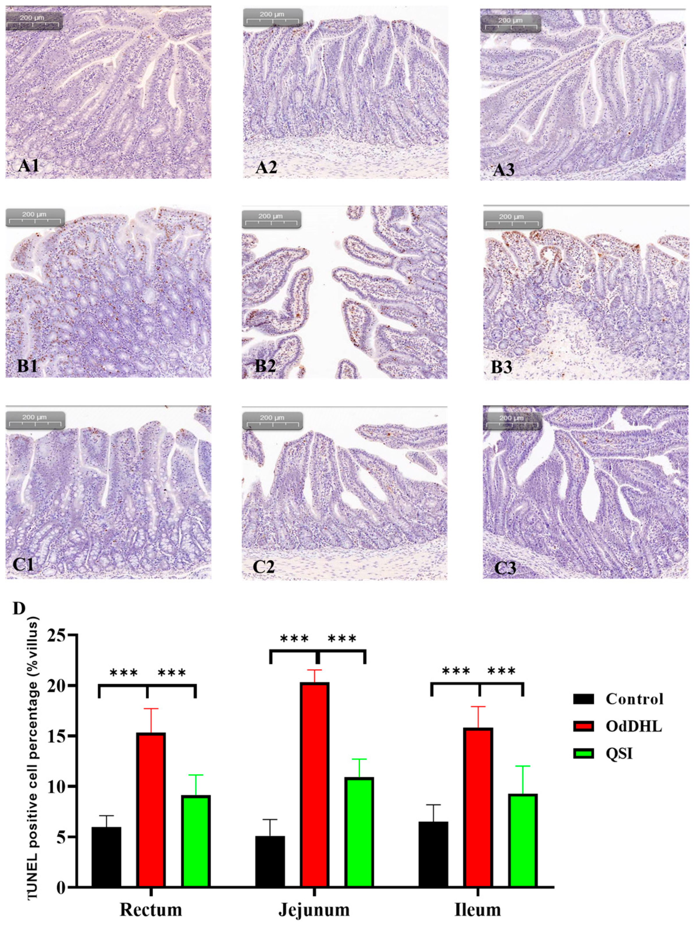 Vetsci 12 00233 g002