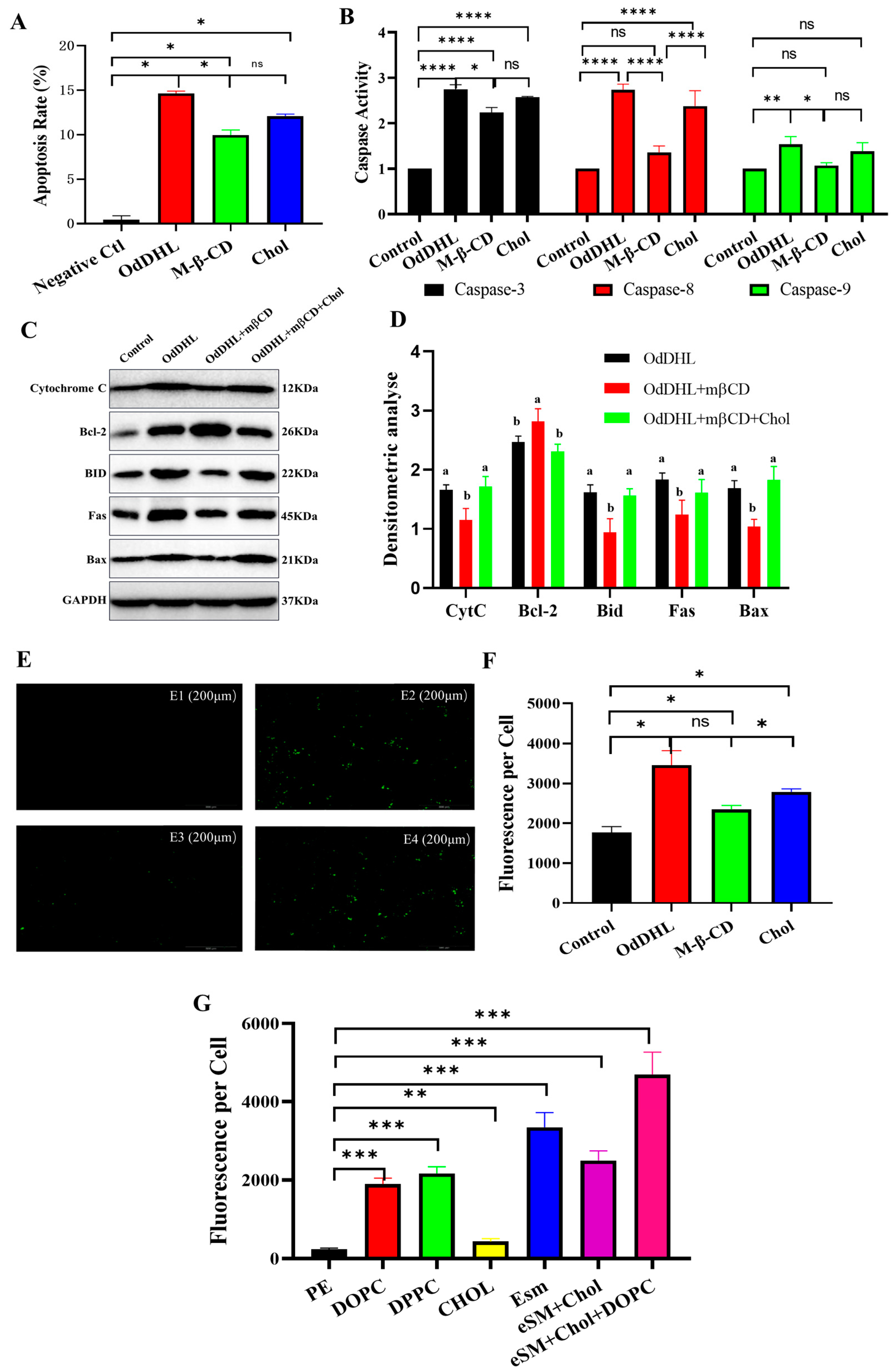 Vetsci 12 00233 g005