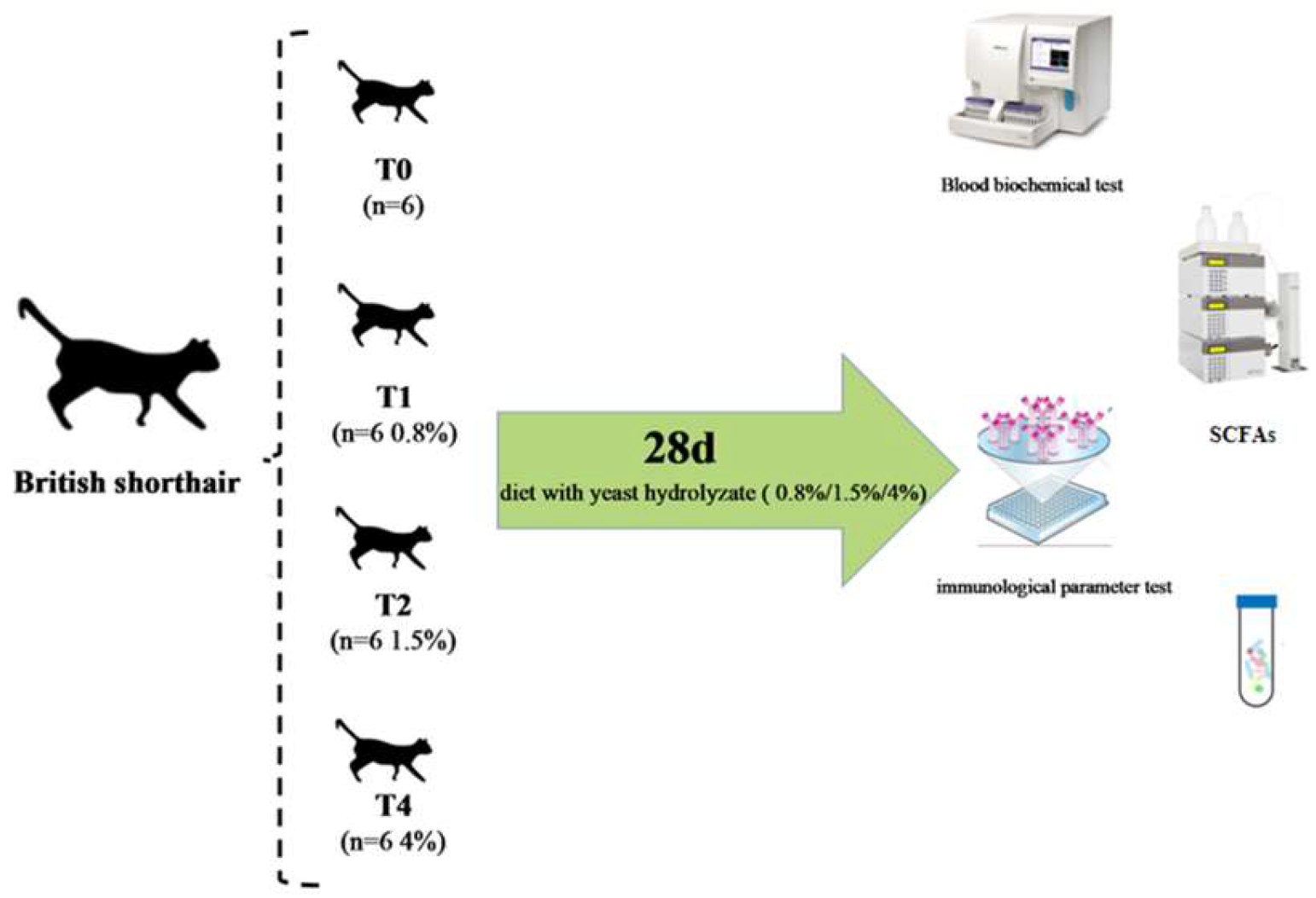 Vetsci 12 00239 g001