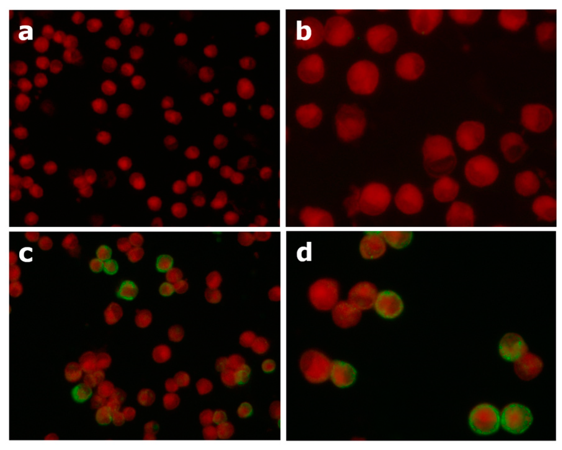 Vetsci 12 00245 g003