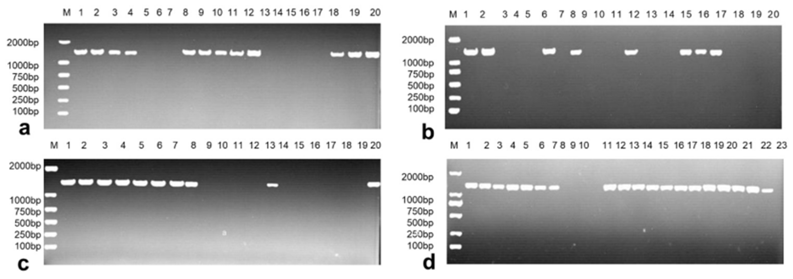 Vetsci 12 00249 g001