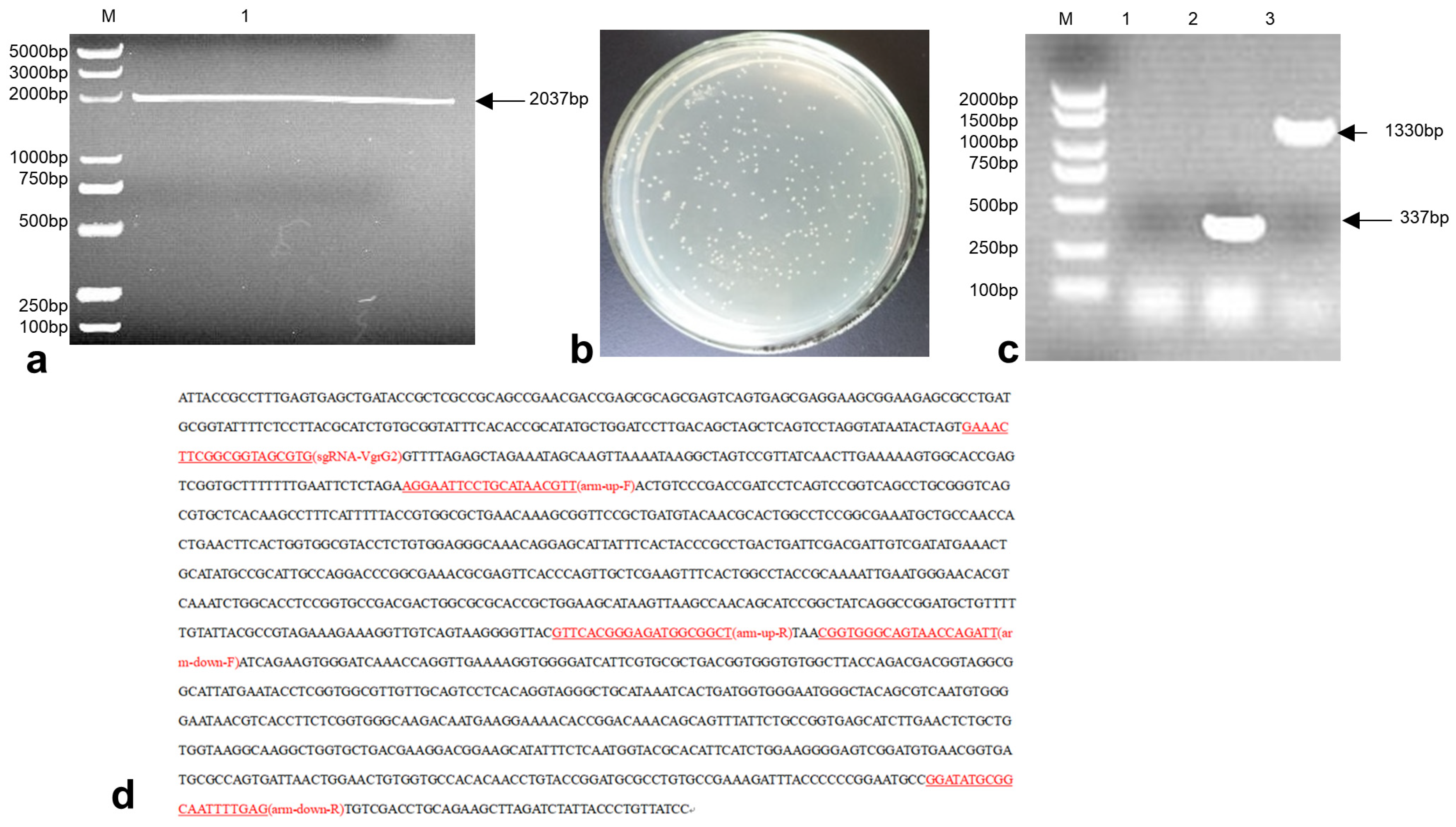 Vetsci 12 00249 g002