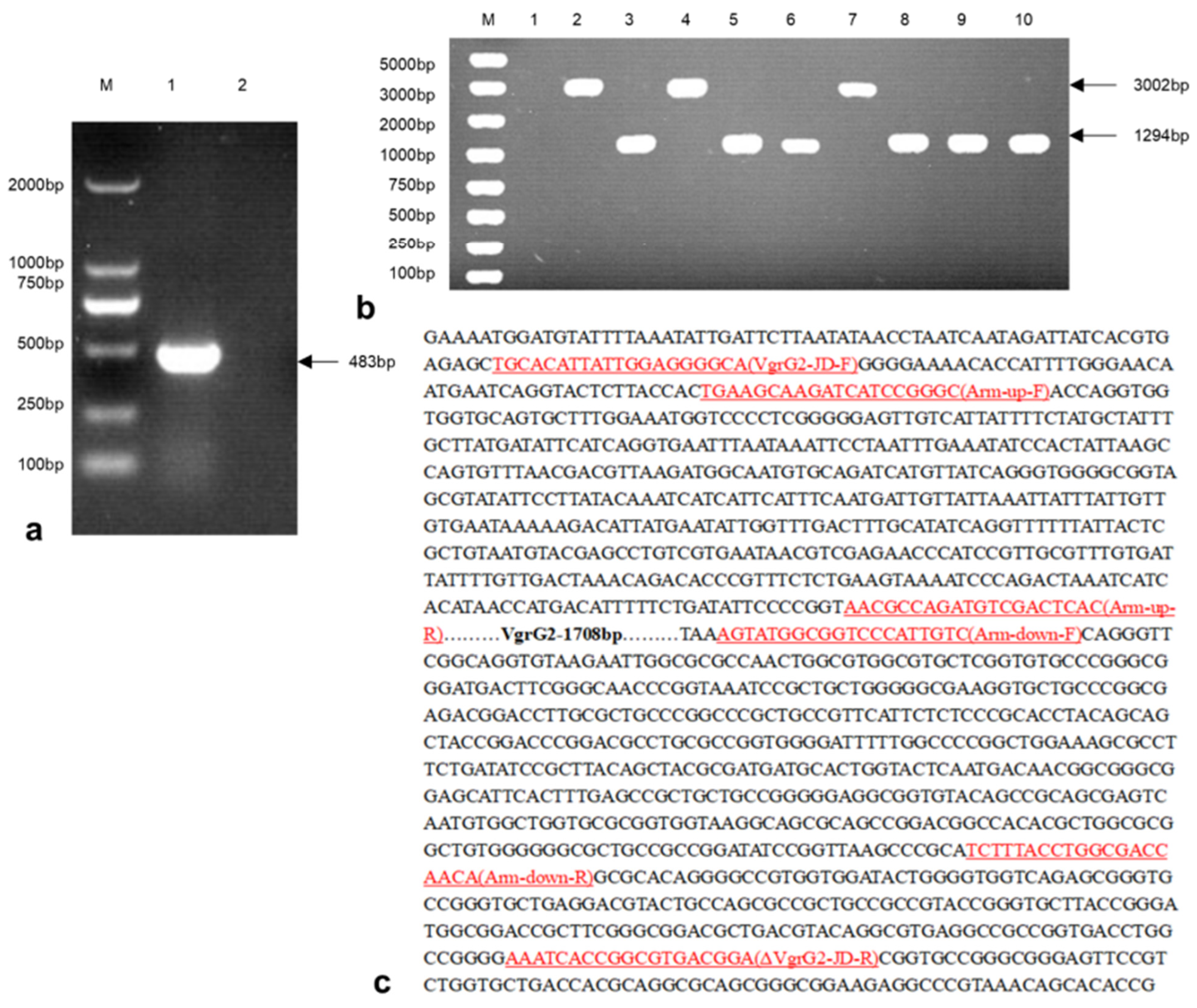 Vetsci 12 00249 g003