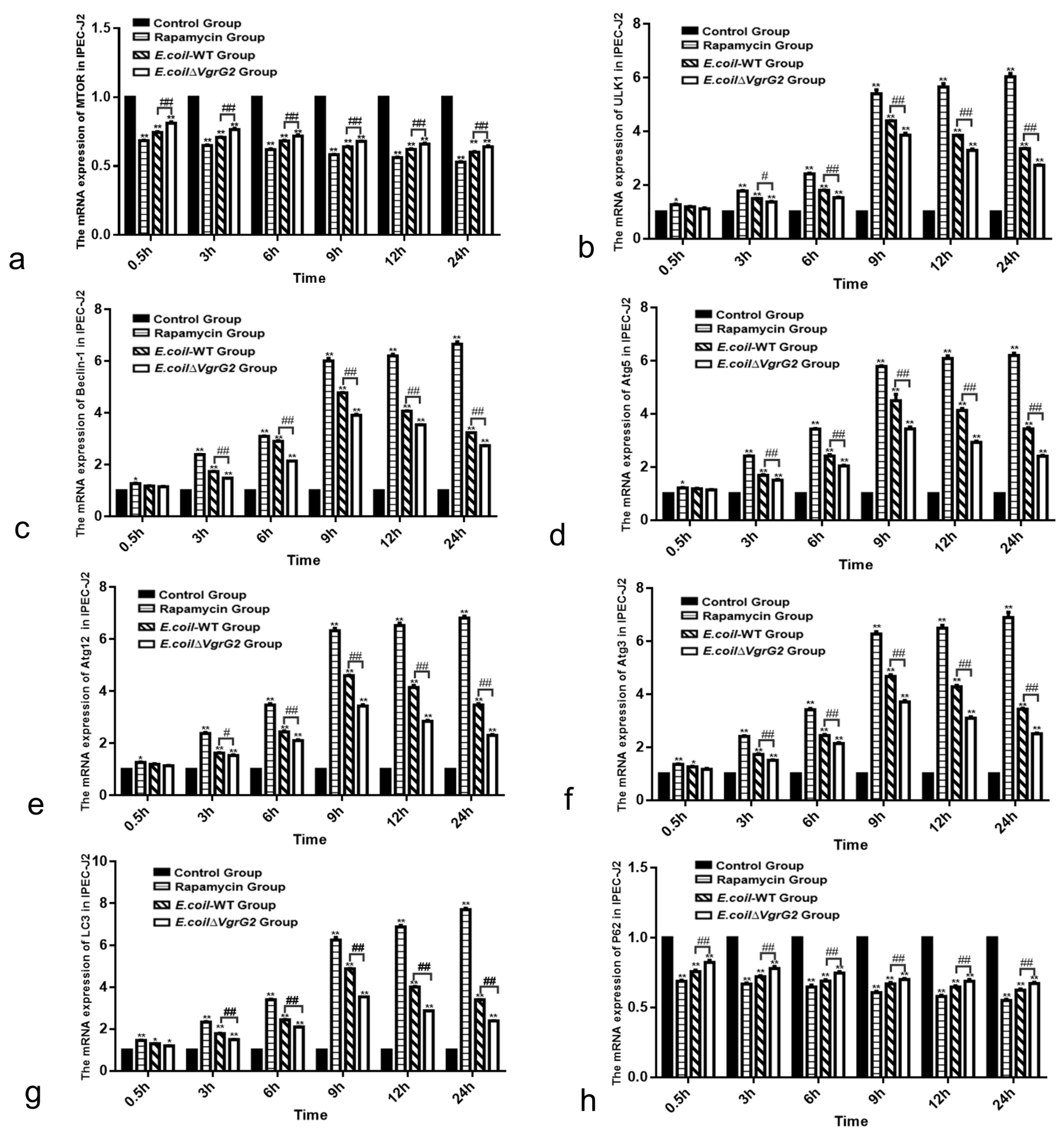 Vetsci 12 00249 g005