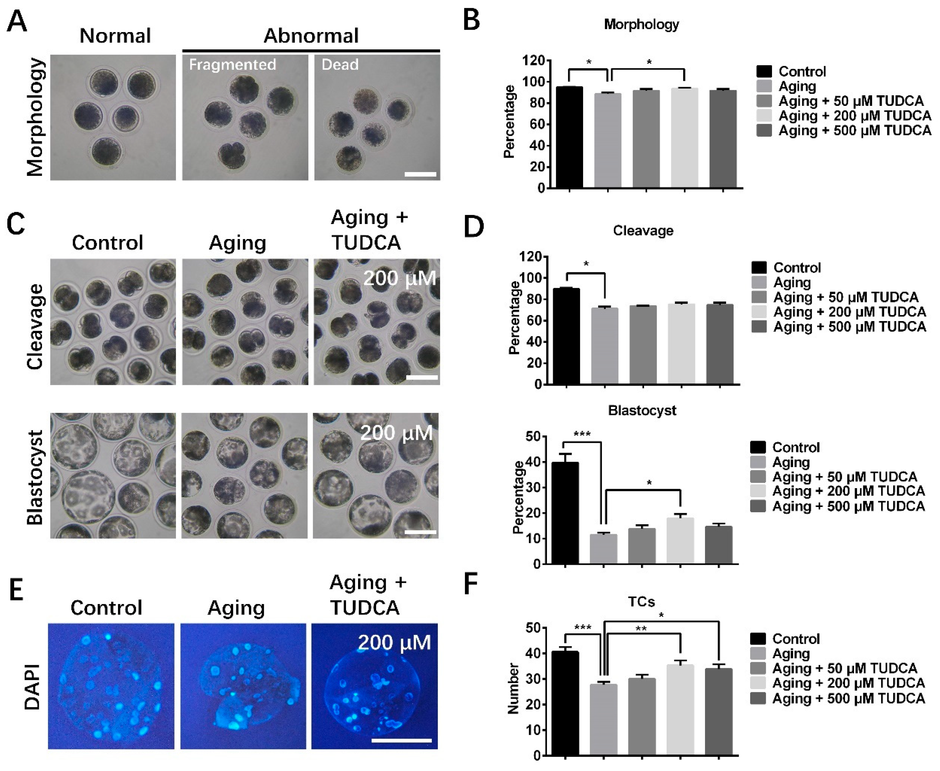 Vetsci 12 00265 g001