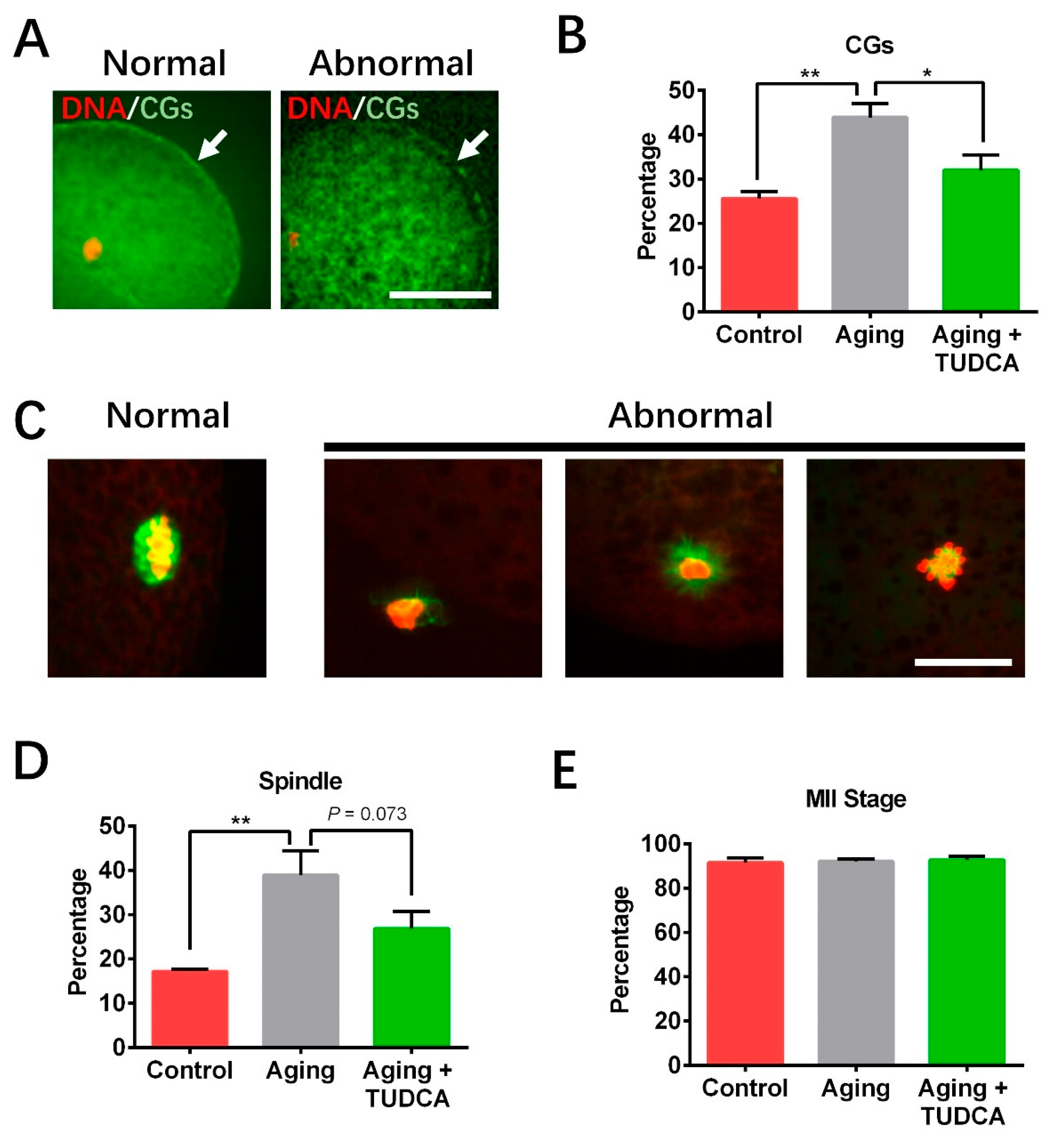 Vetsci 12 00265 g002