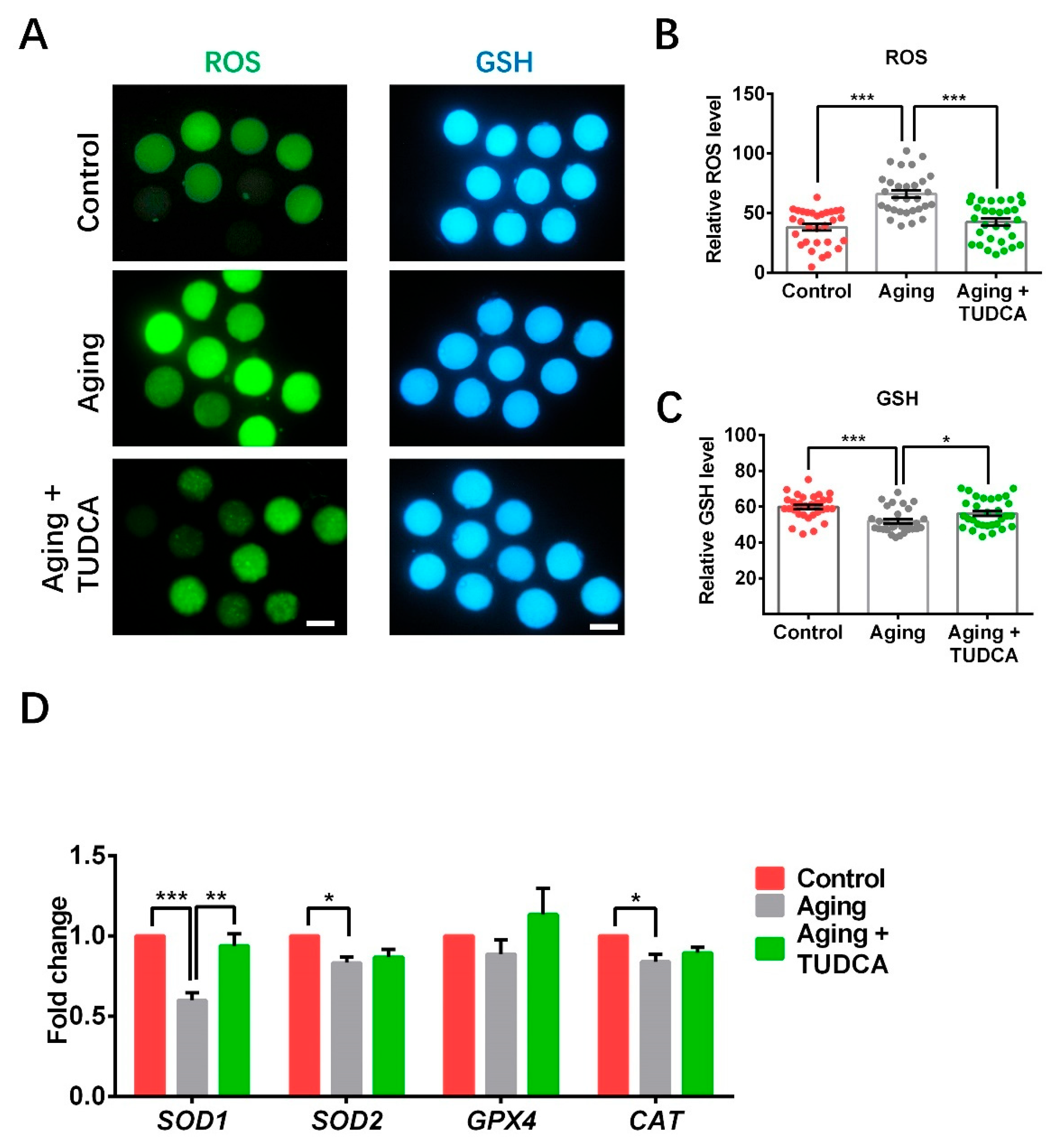 Vetsci 12 00265 g003