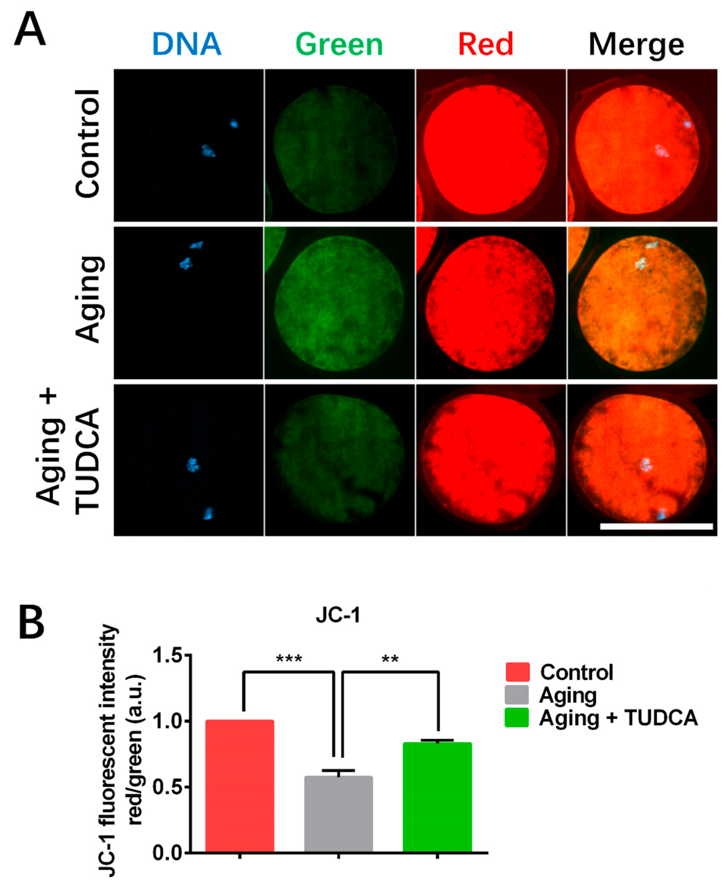 Vetsci 12 00265 g004