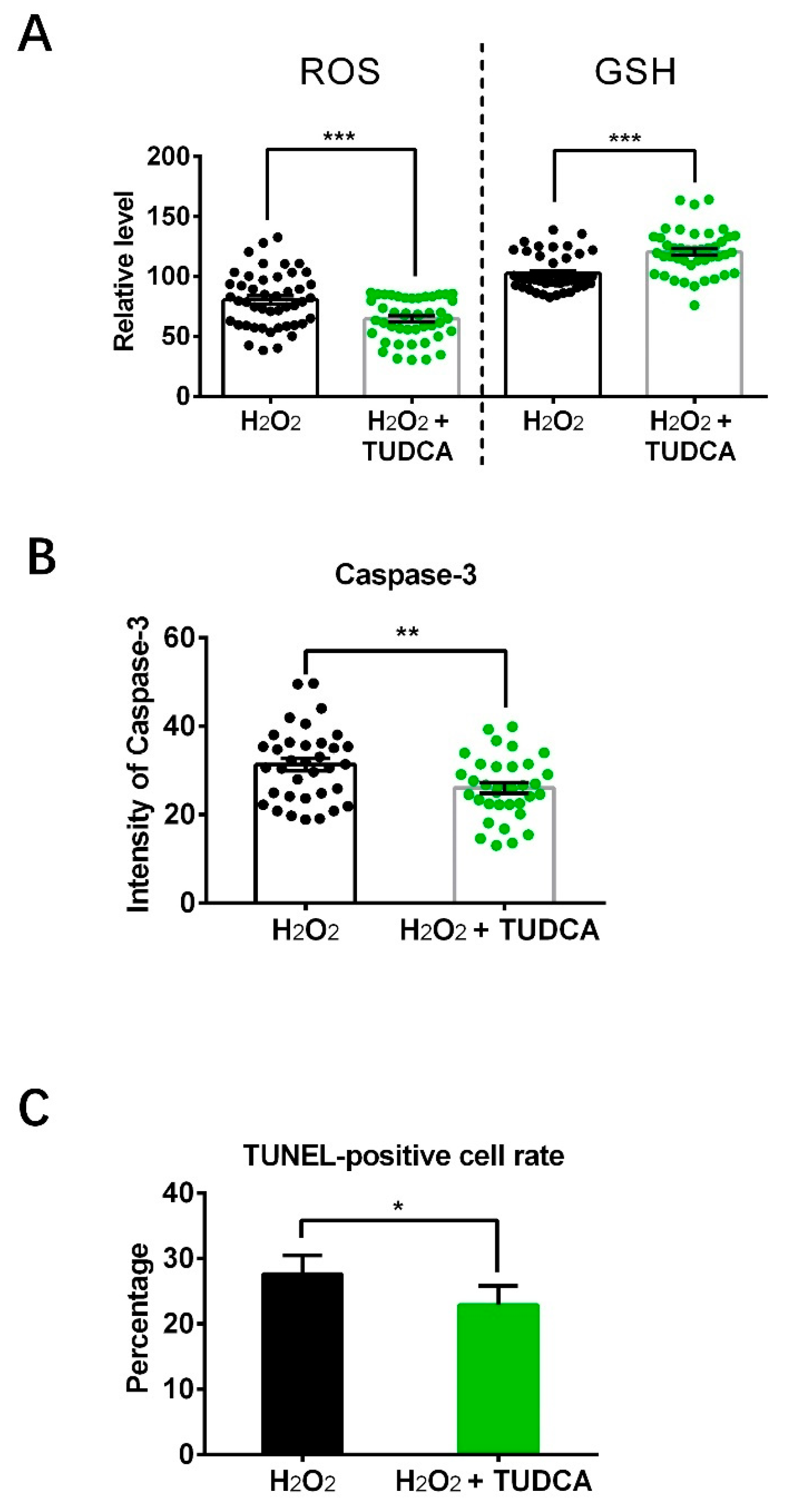 Vetsci 12 00265 g007