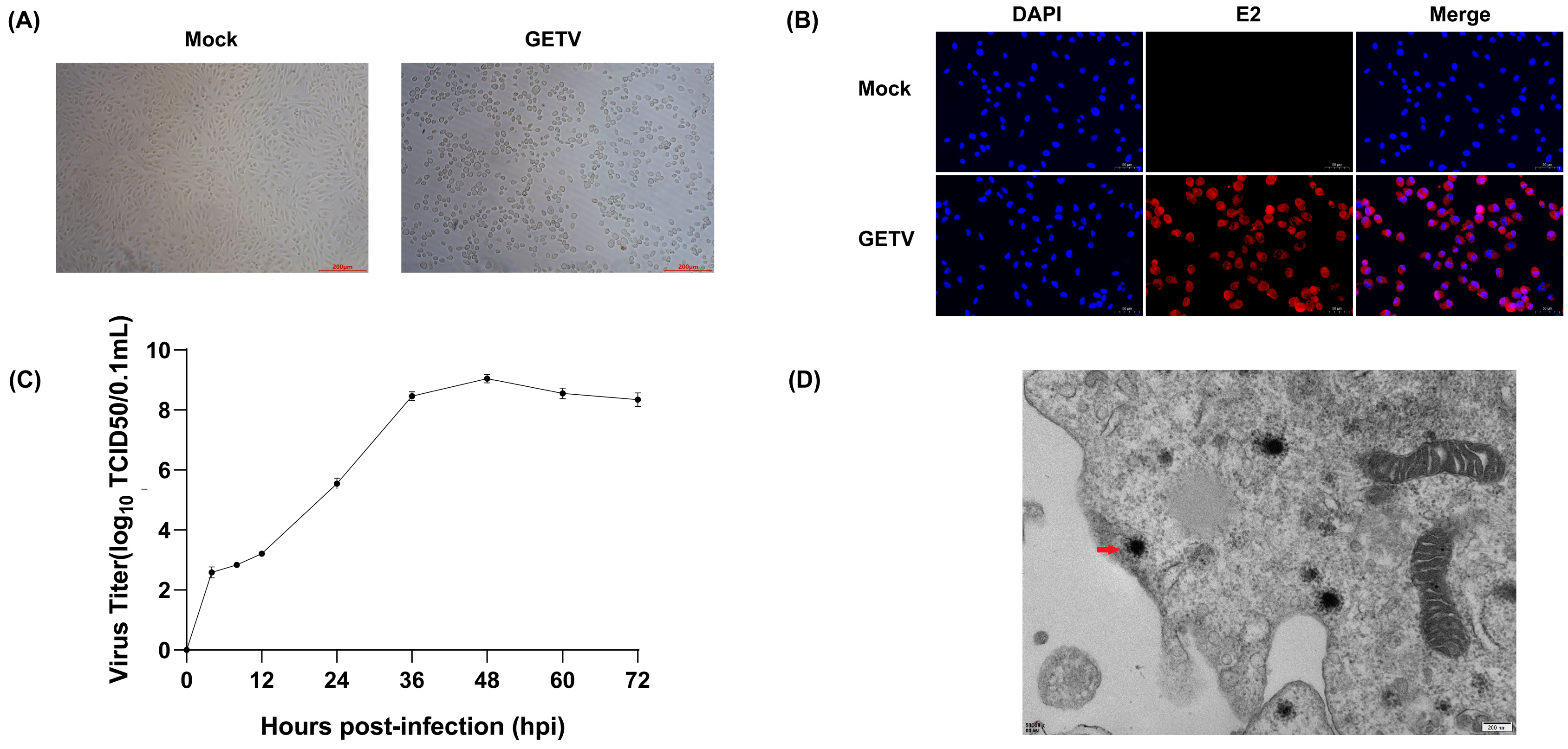 Vetsci 12 00276 g003