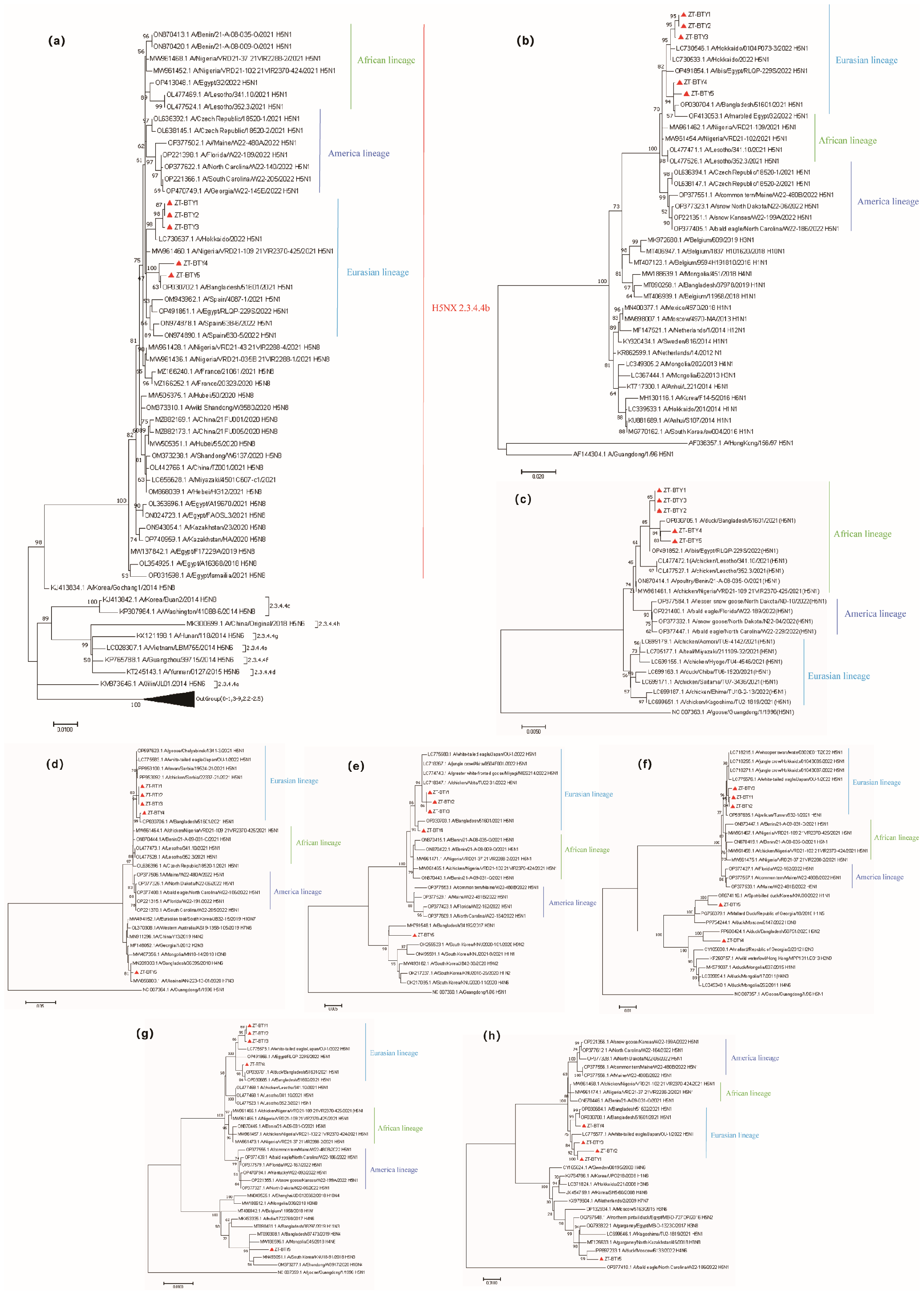 Vetsci 12 00280 g001