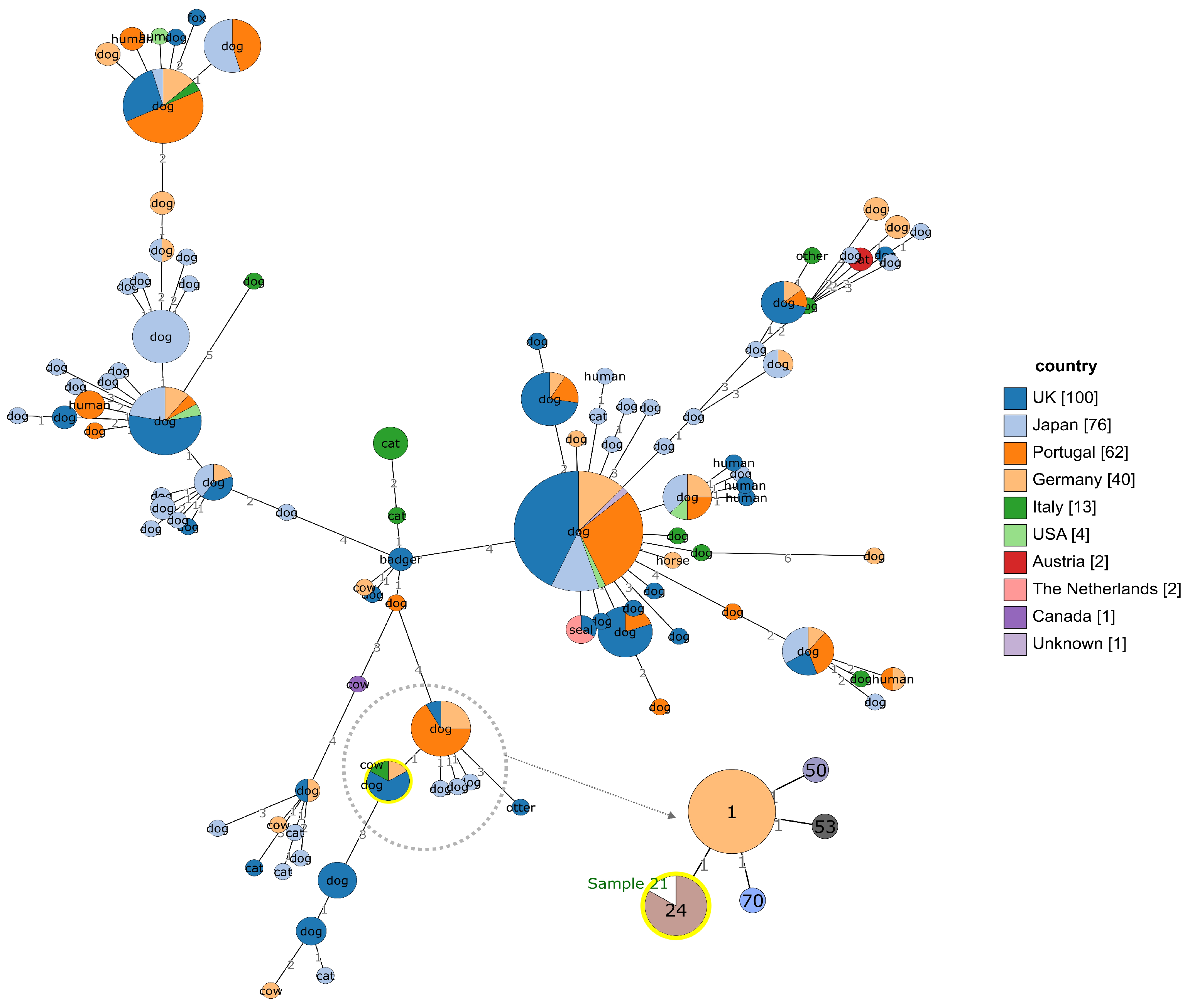 Vetsci 12 00286 g001