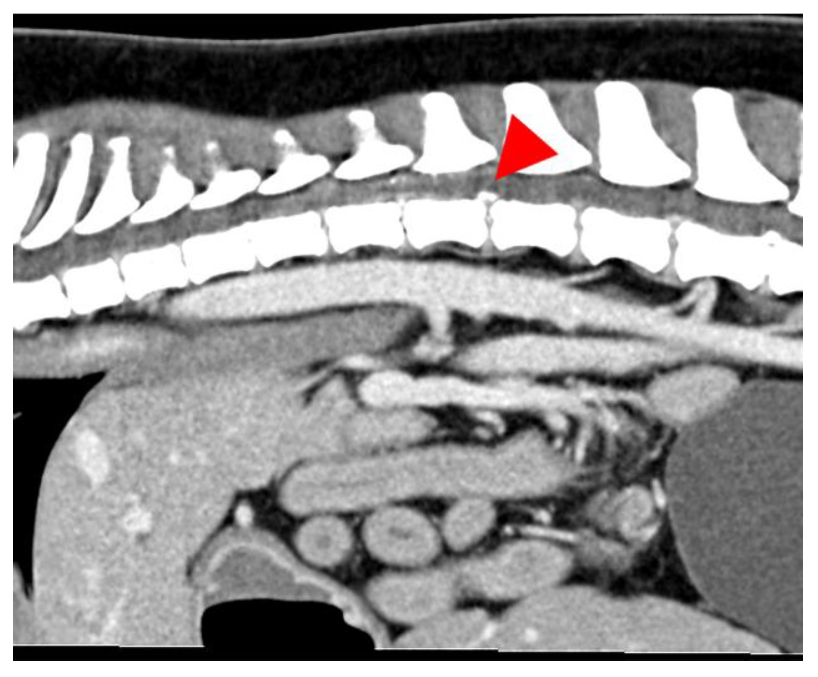 Vetsci 12 00287 g002