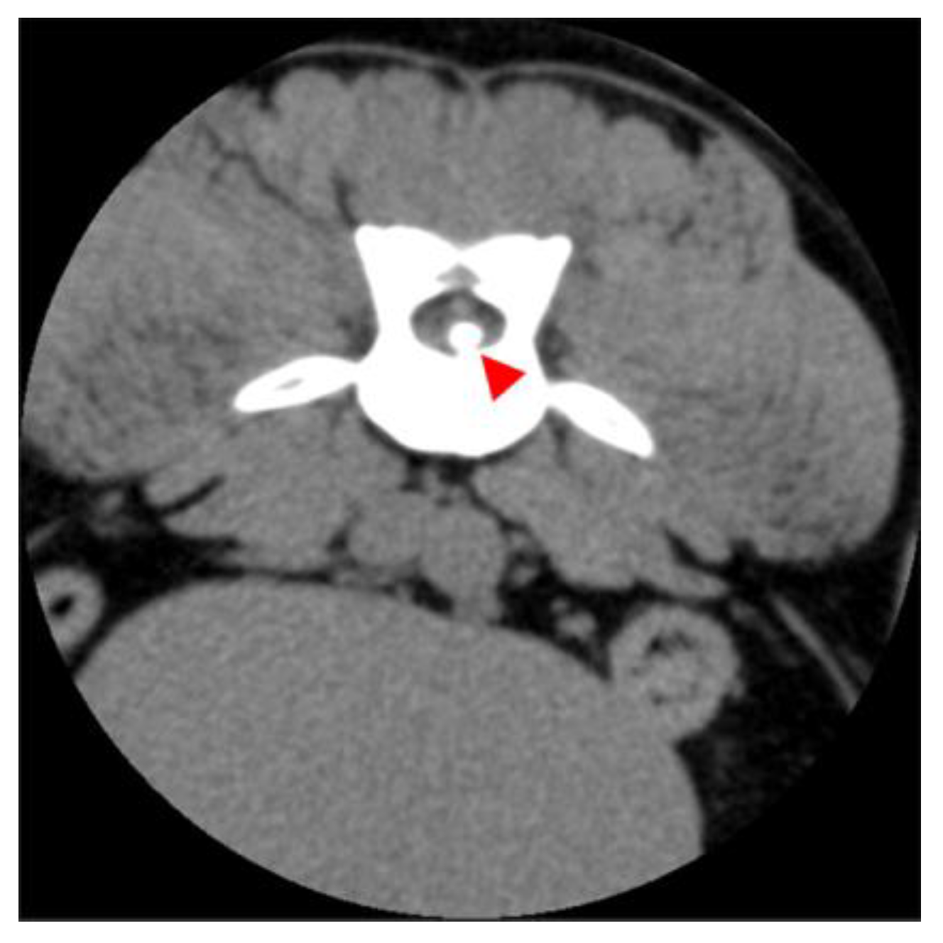 Vetsci 12 00287 g003