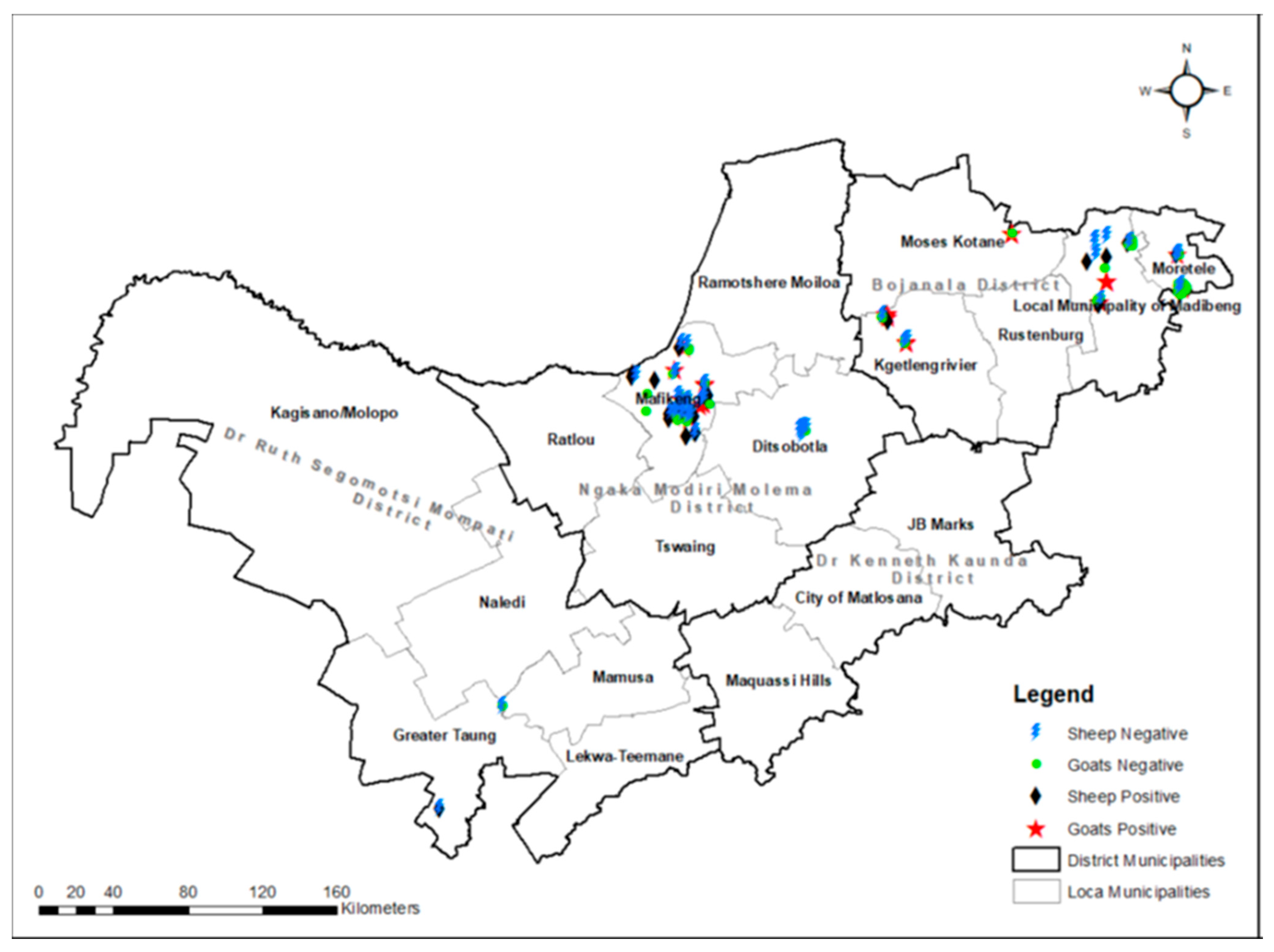 Vetsci 12 00315 g002