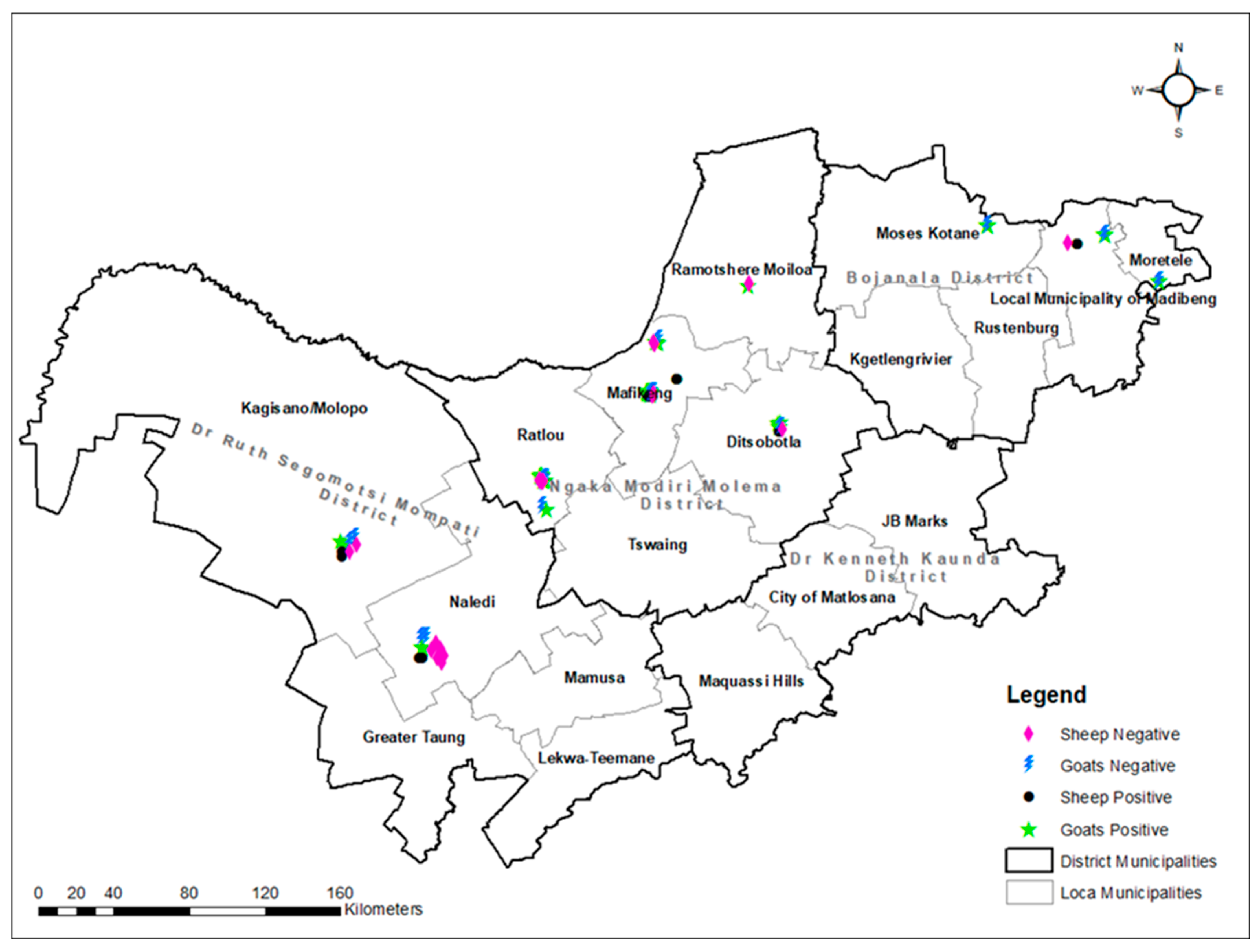Vetsci 12 00315 g003