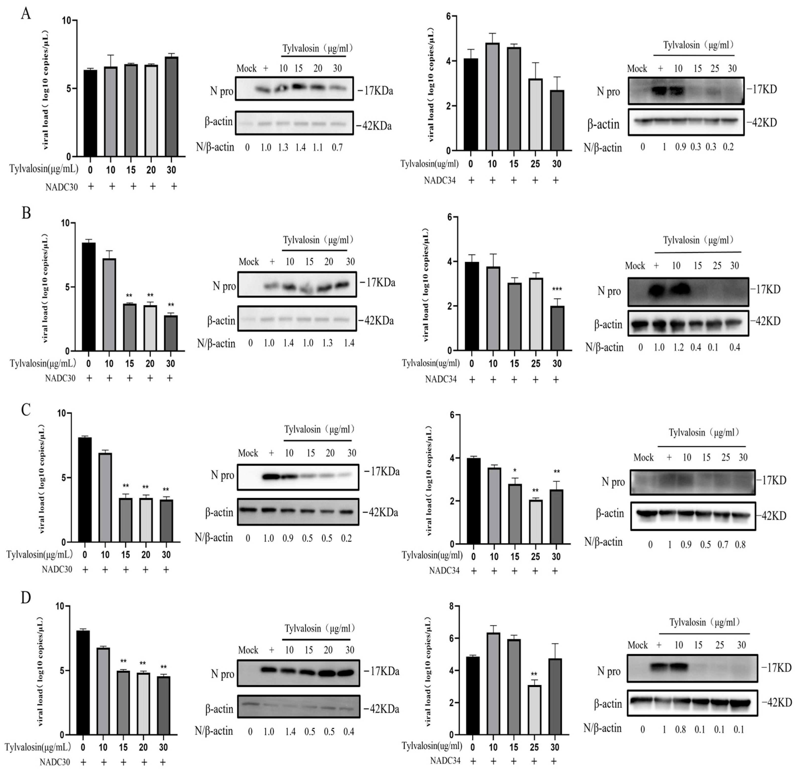 Vetsci 12 00348 g004