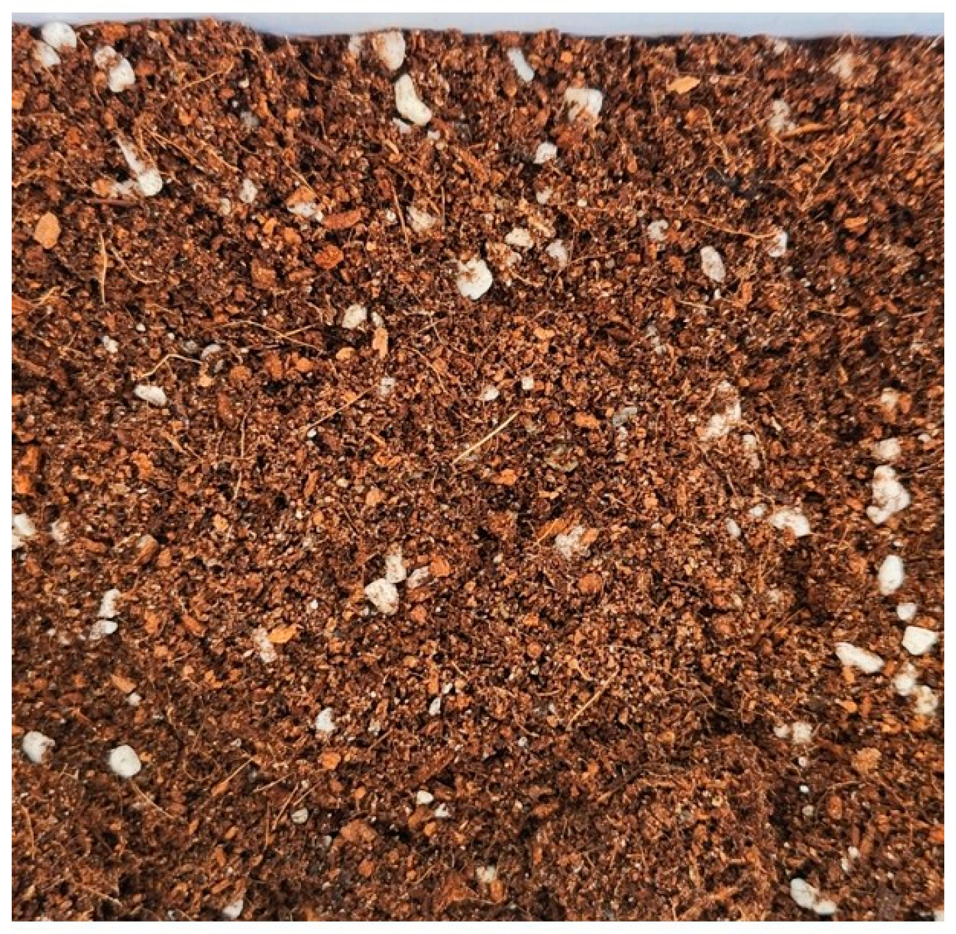 Vetsci 12 00355 g001