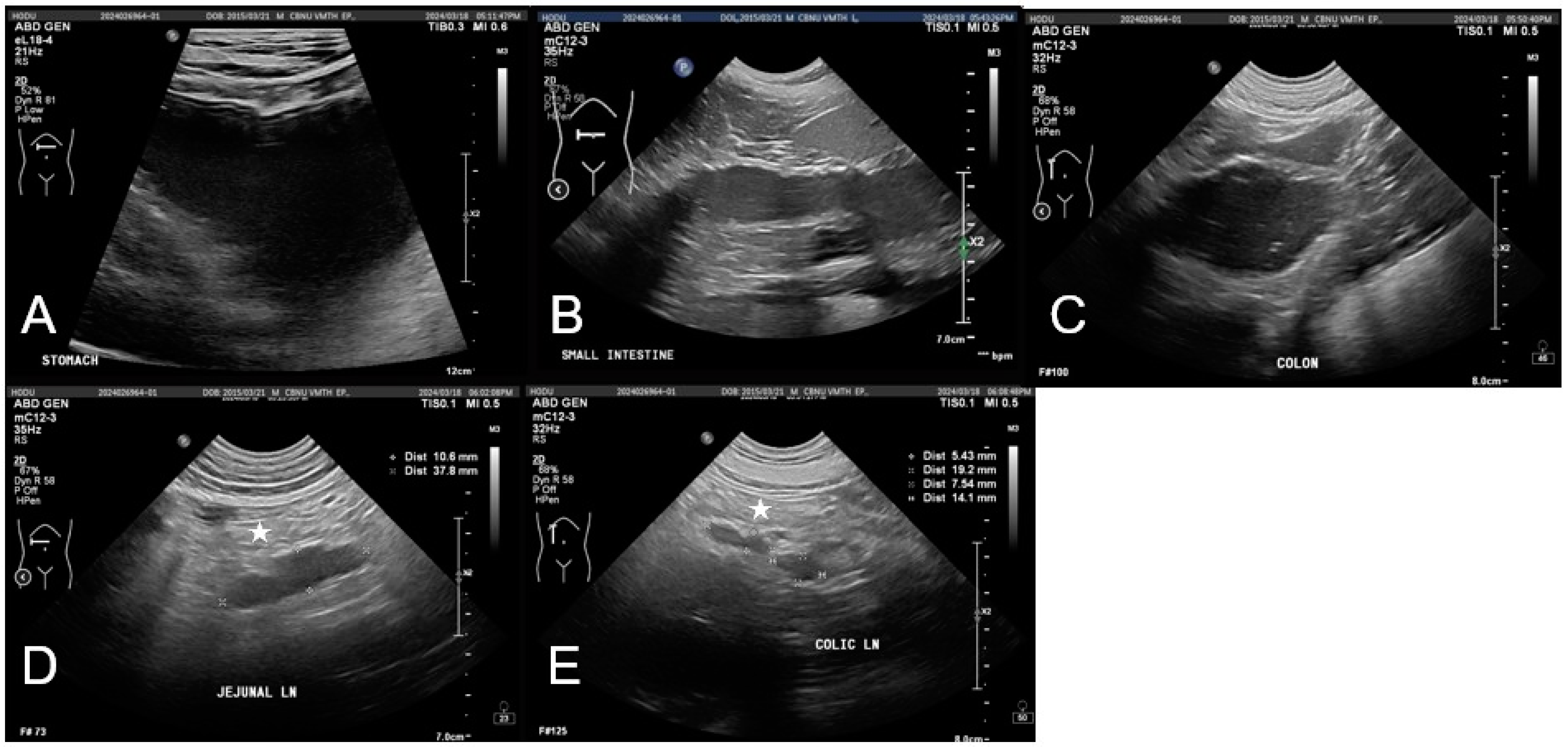Vetsci 12 00355 g002
