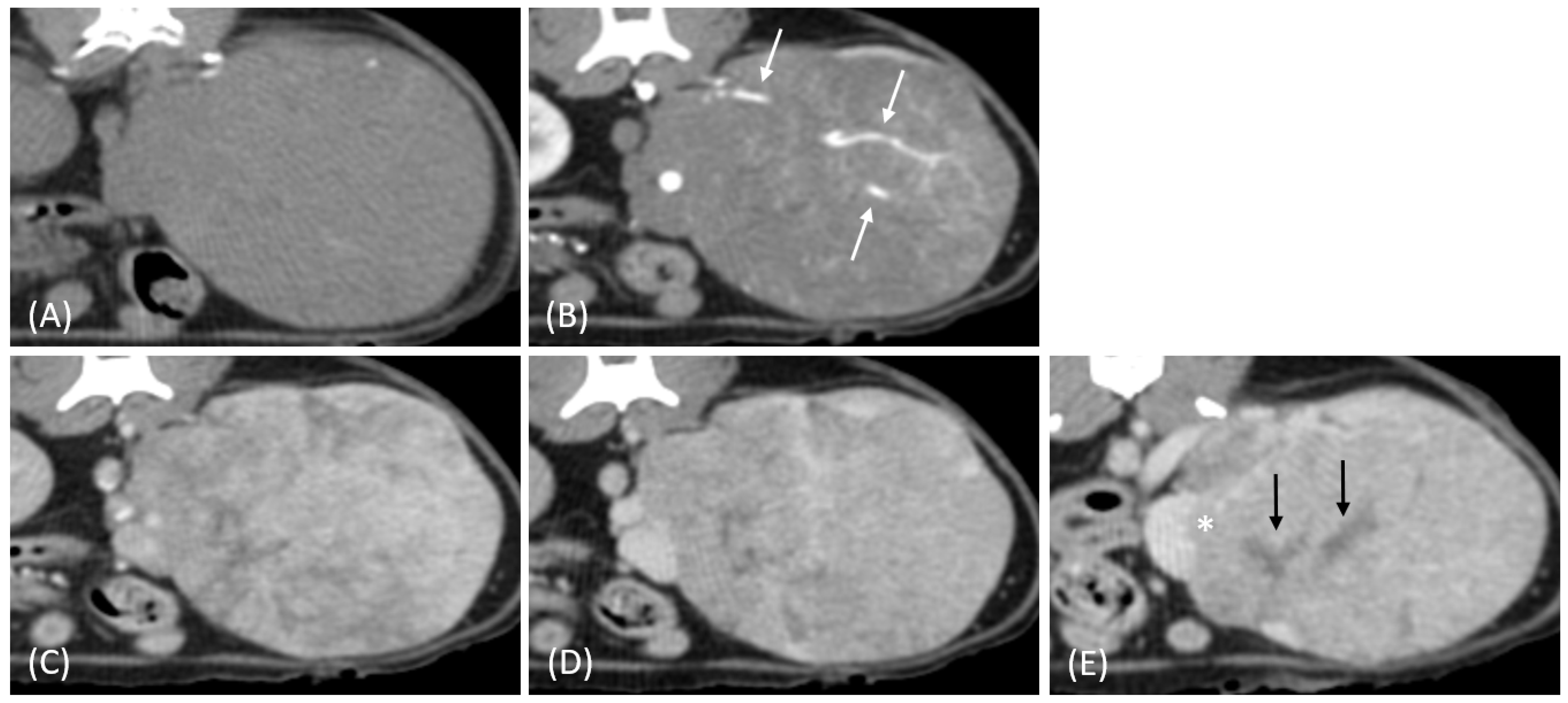 Vetsci 12 00360 g001