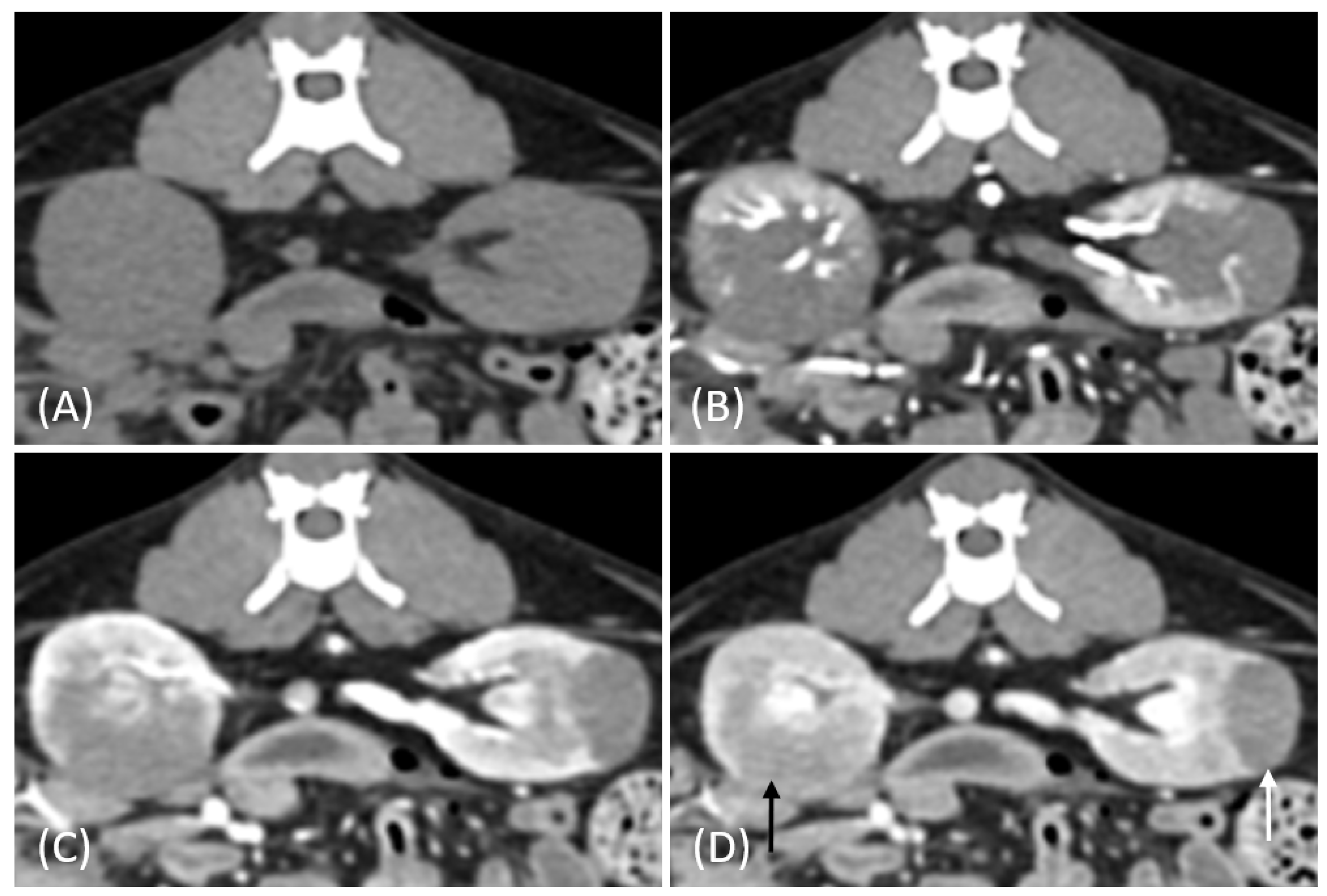Vetsci 12 00360 g003
