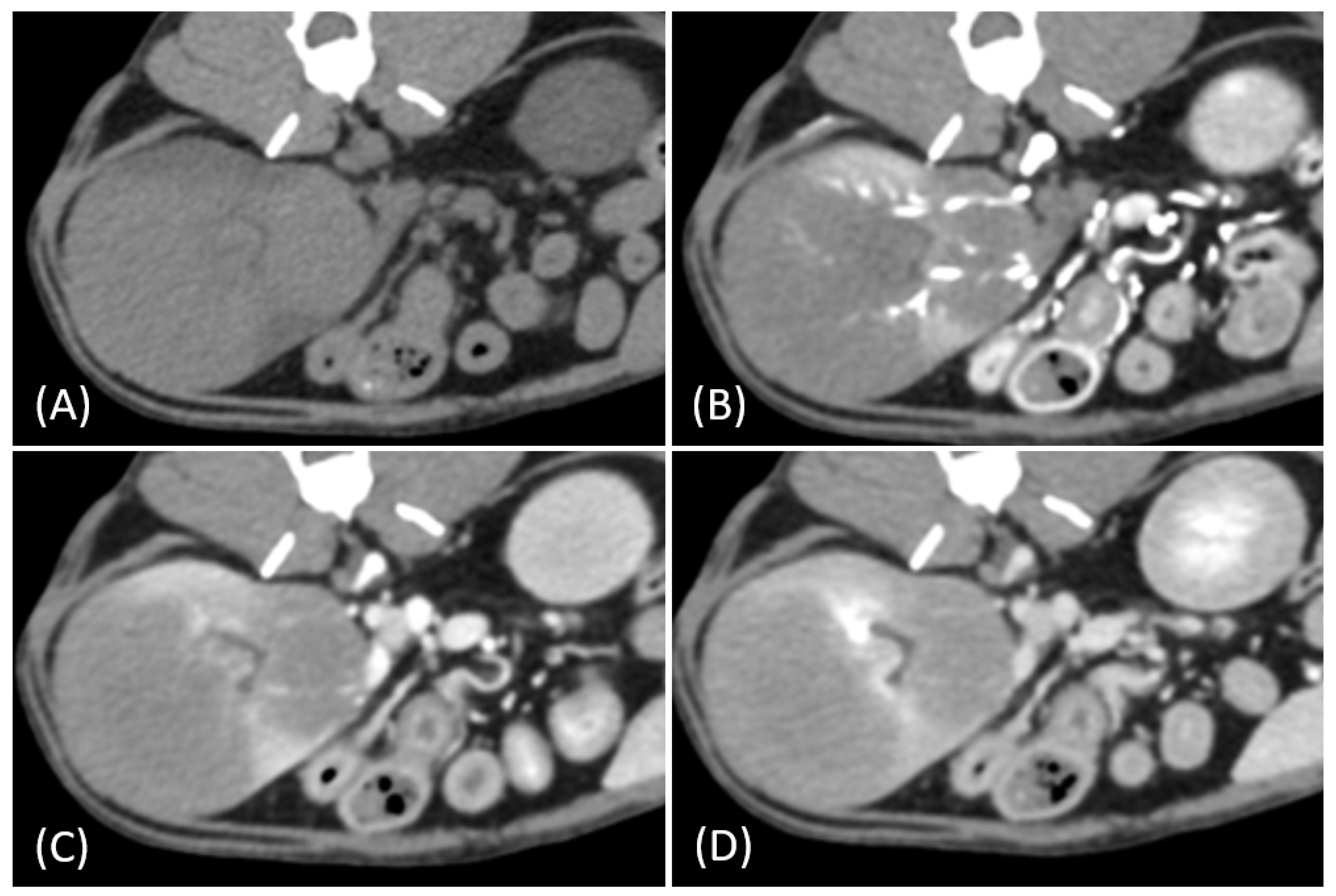 Vetsci 12 00360 g005
