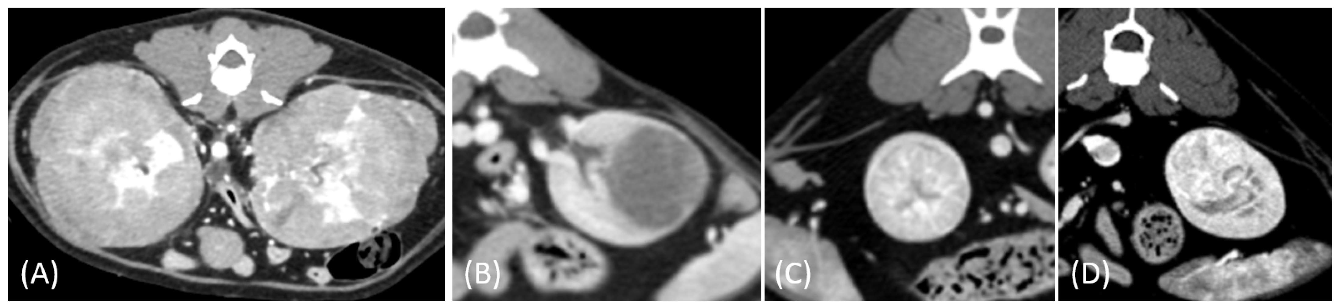 Vetsci 12 00360 g006