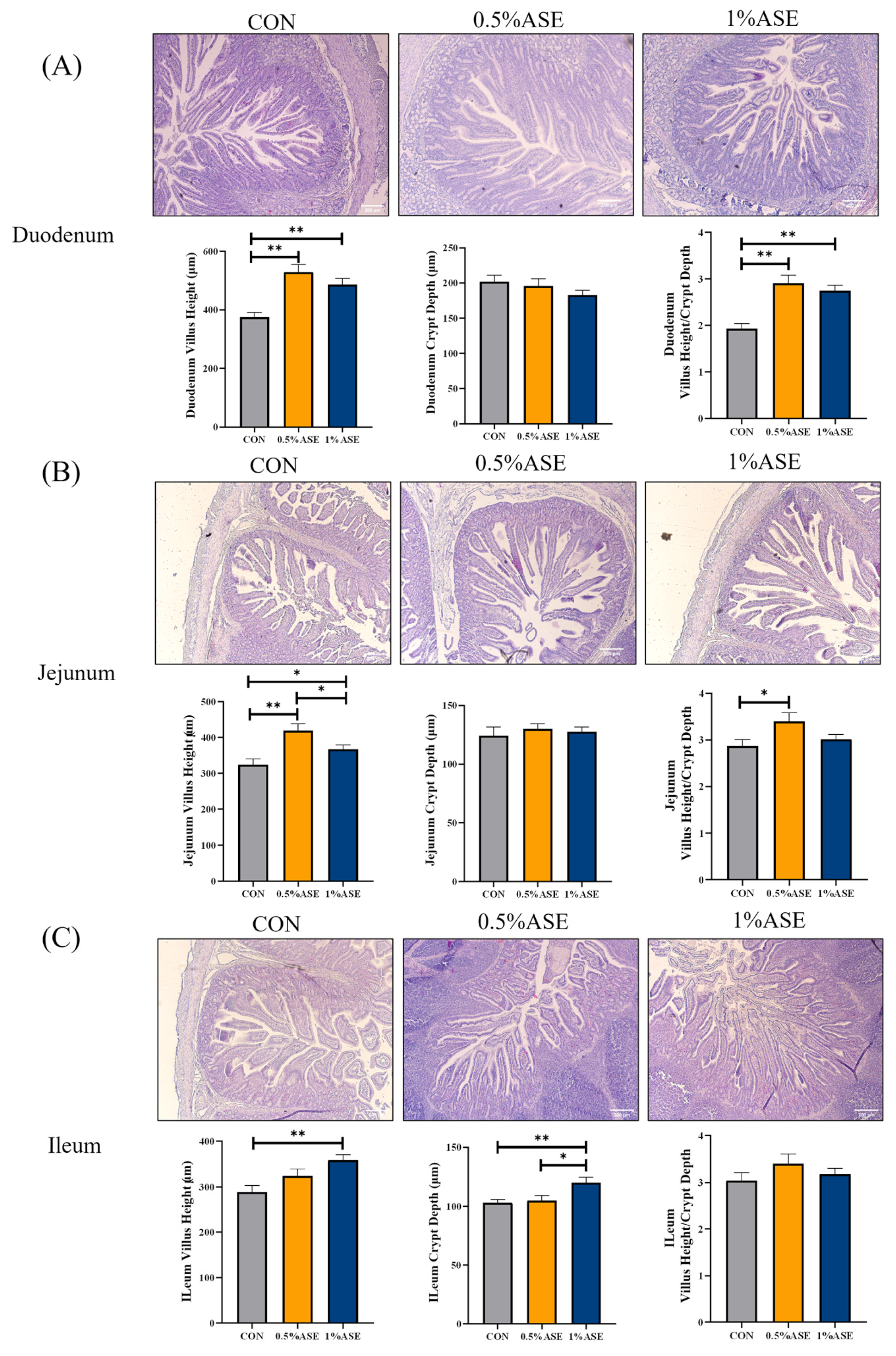 Vetsci 12 00370 g005 Vetsci 12 00370 g005