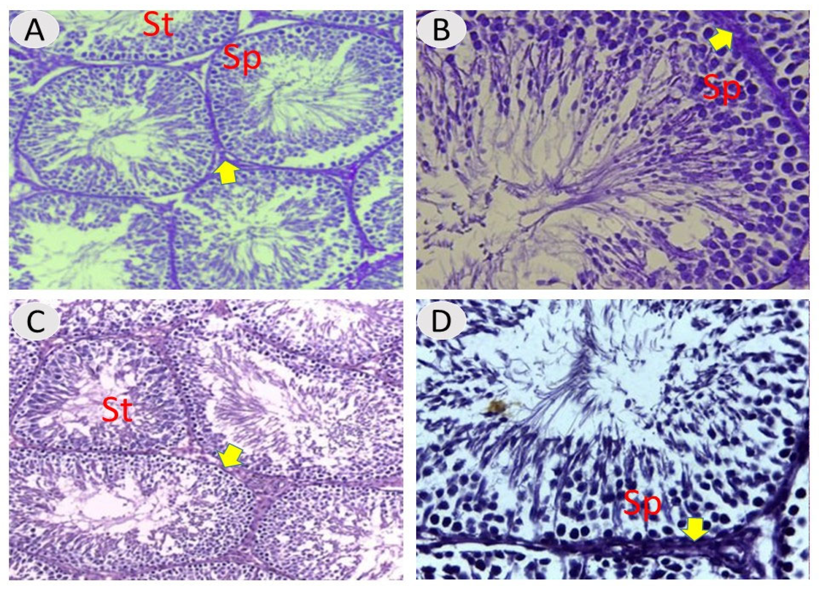 Vetsci 12 00371 g001