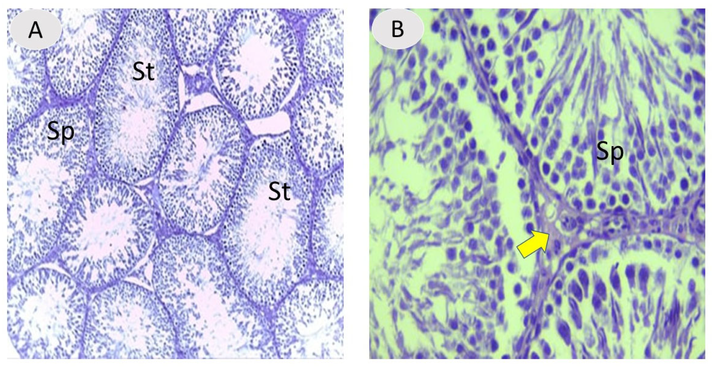 Vetsci 12 00371 g003