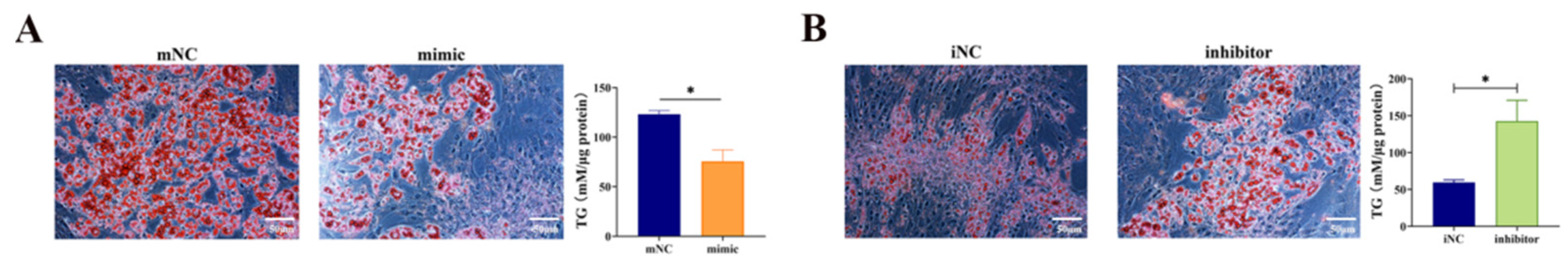 Vetsci 12 00375 g004