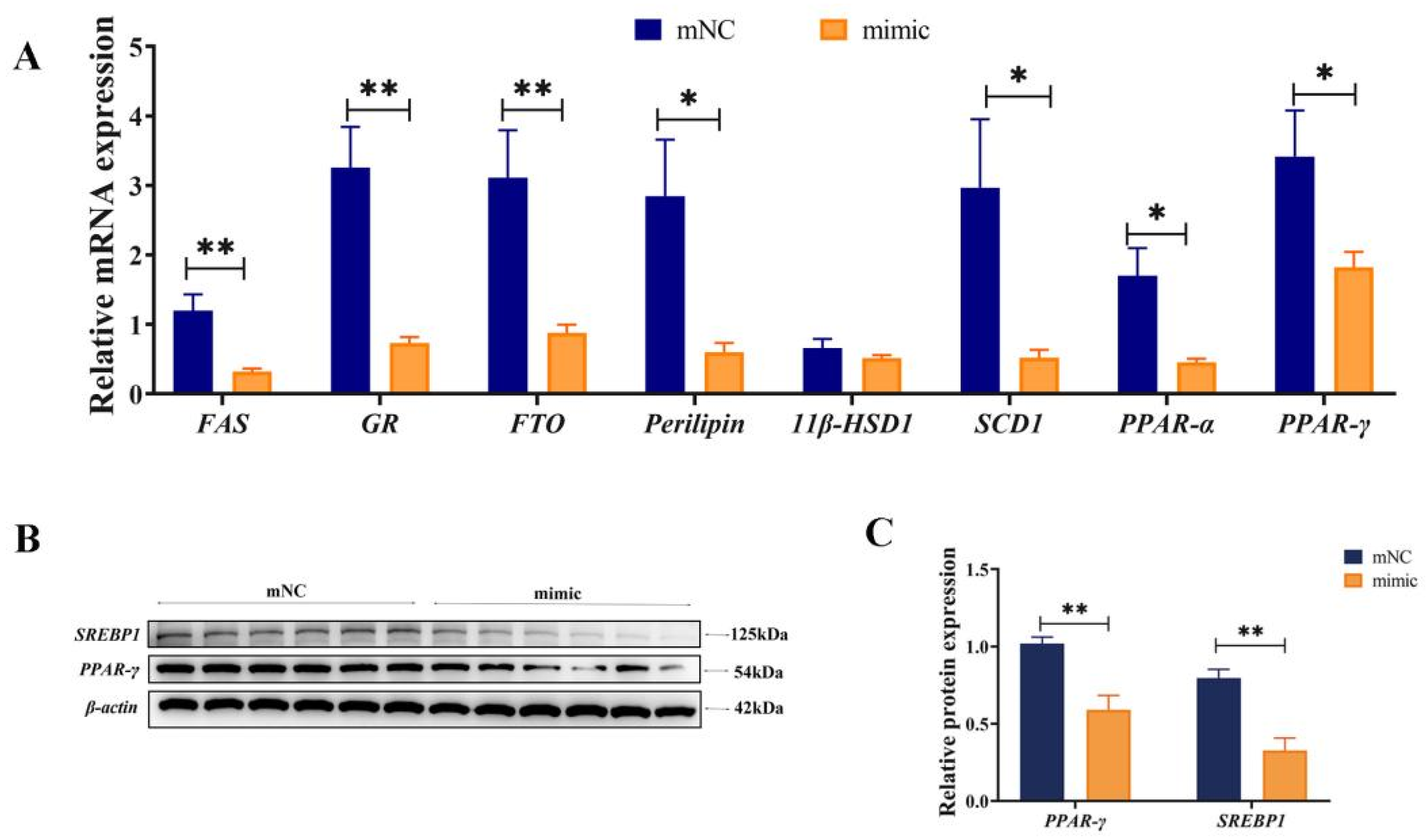 Vetsci 12 00375 g005