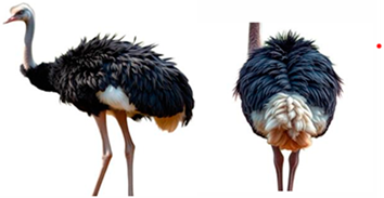 Vetsci 12 00380 i002