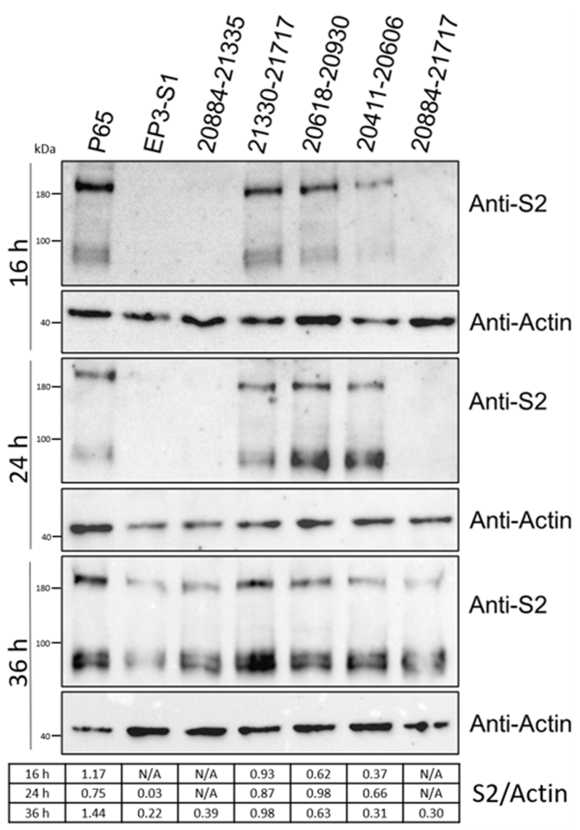 Vetsci 12 00394 g004