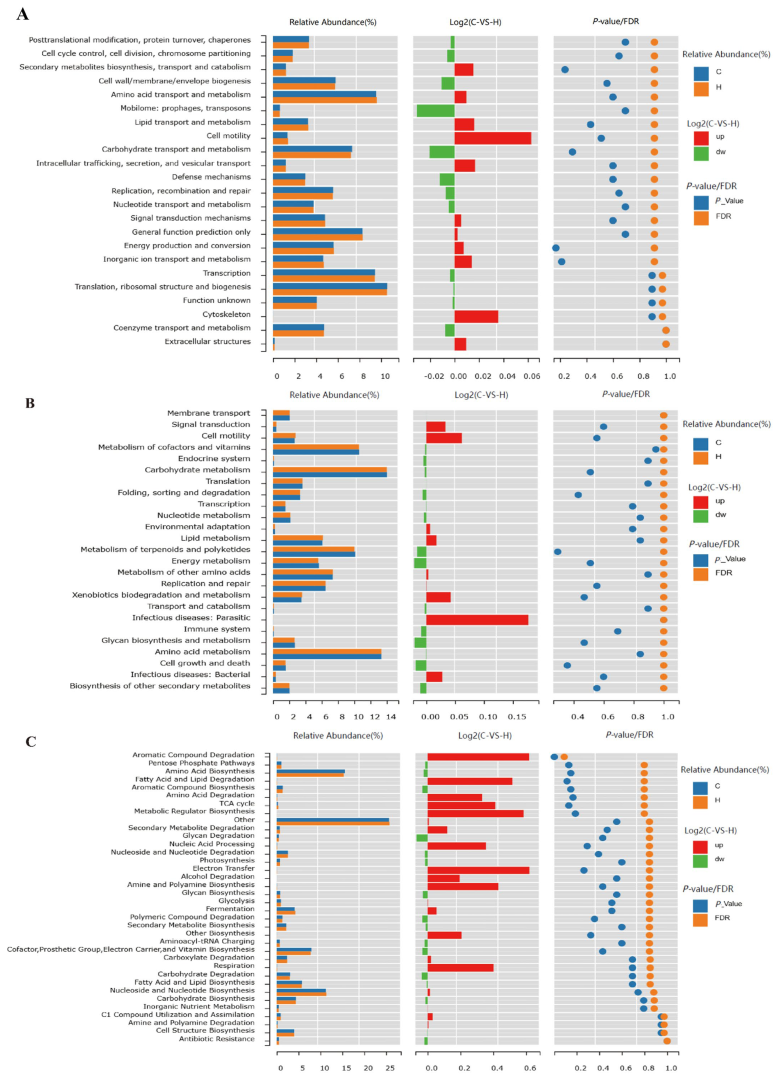 Vetsci 12 00396 g004