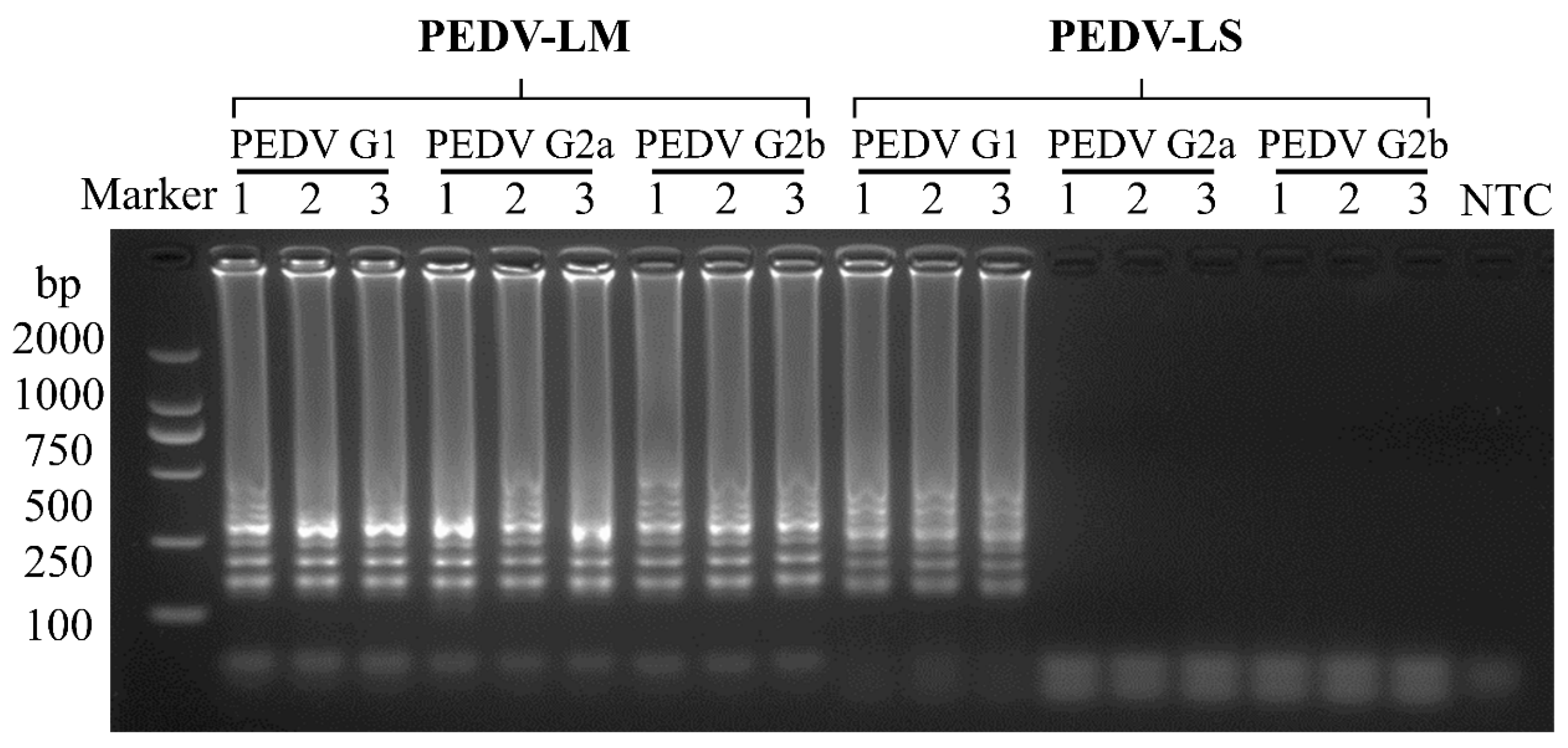 Vetsci 12 00399 g005 Vetsci 12 00399 g005