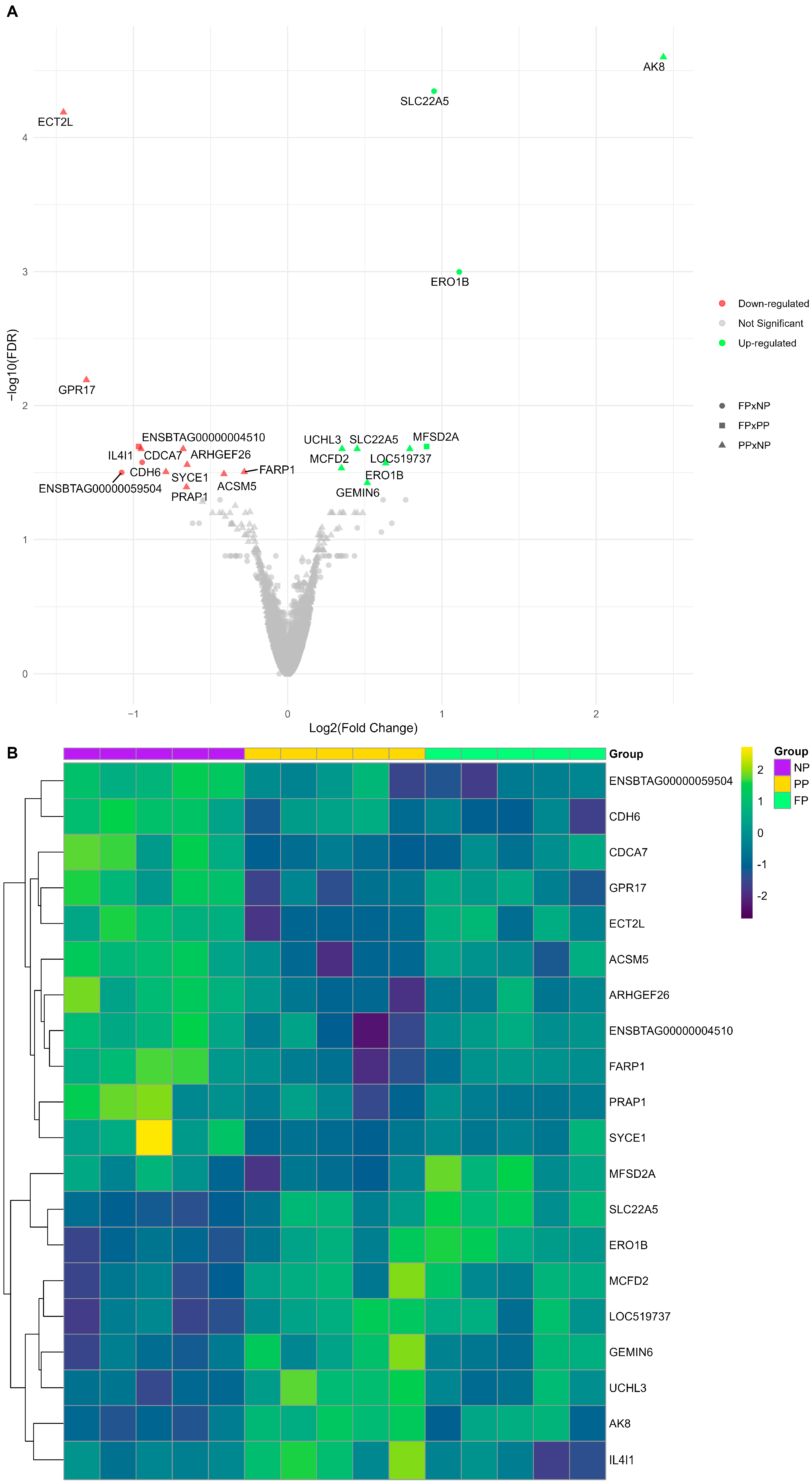 Vetsci 12 00406 g002