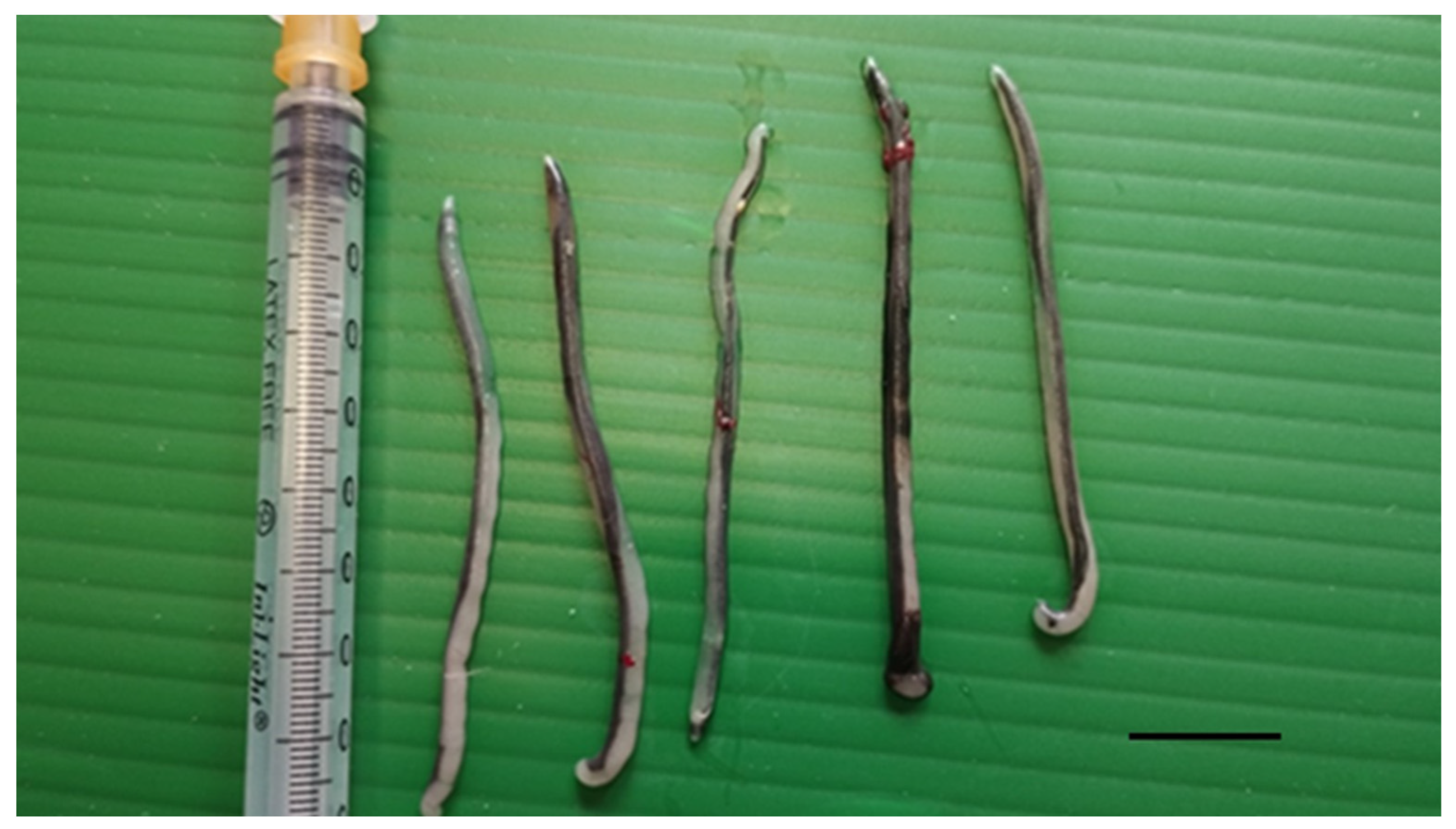 Vetsci 12 00411 g002 Vetsci 12 00411 g002