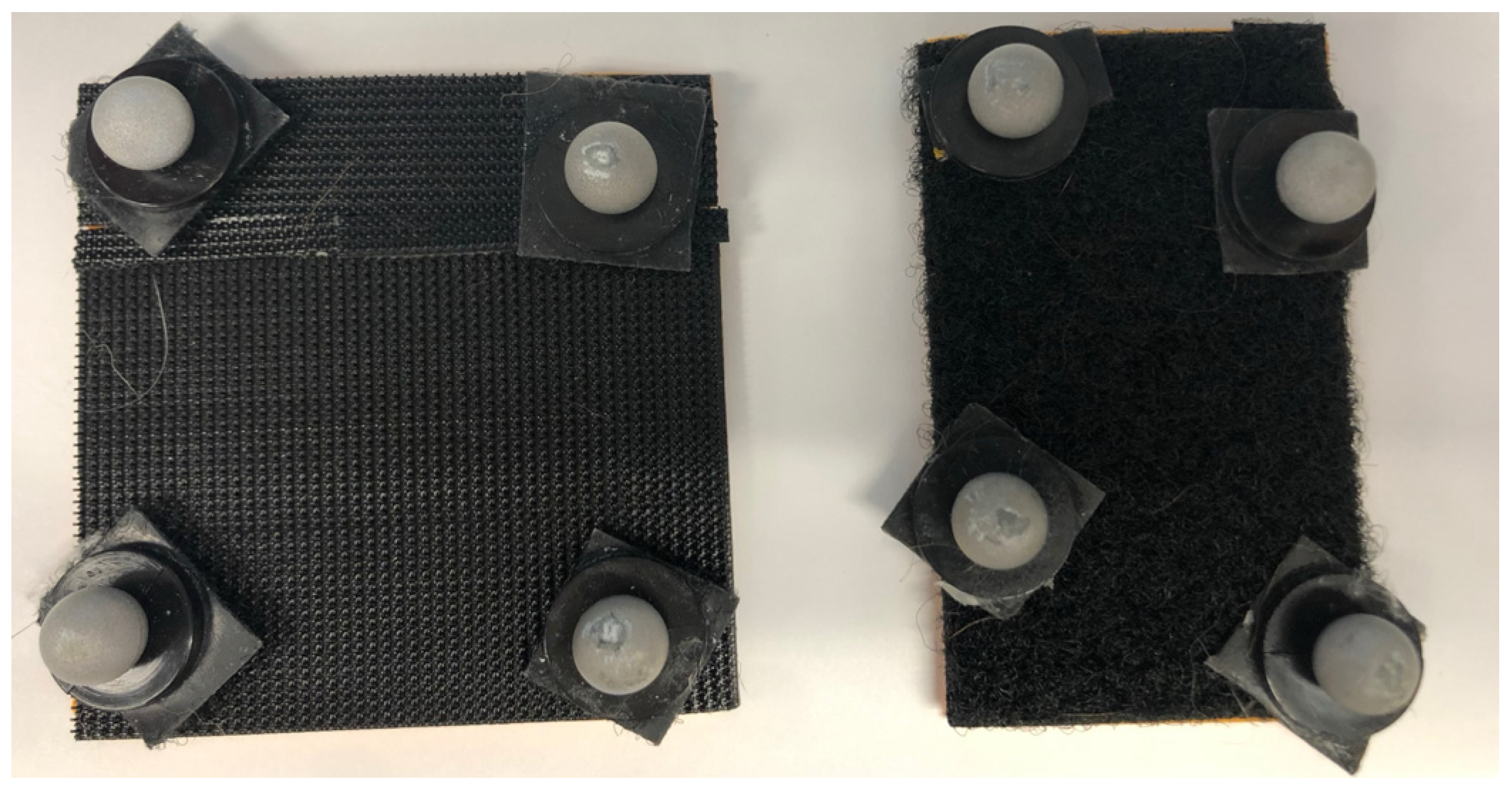 Vetsci 12 00439 g002